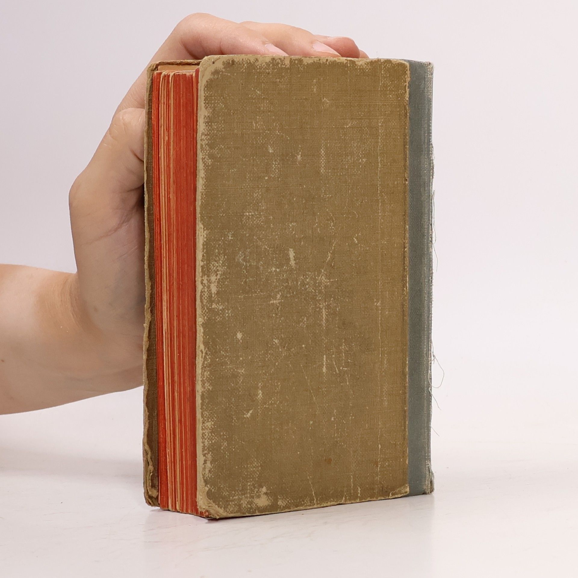 Jan V. Novák Stručné dějiny literatury české