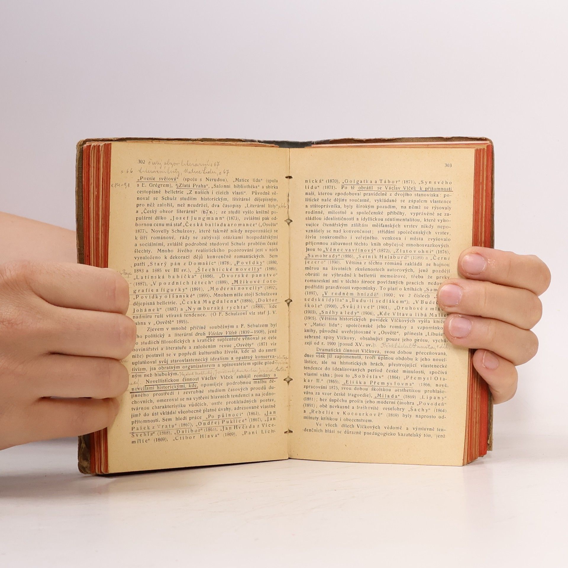 Jan V. Novák Stručné dějiny literatury české