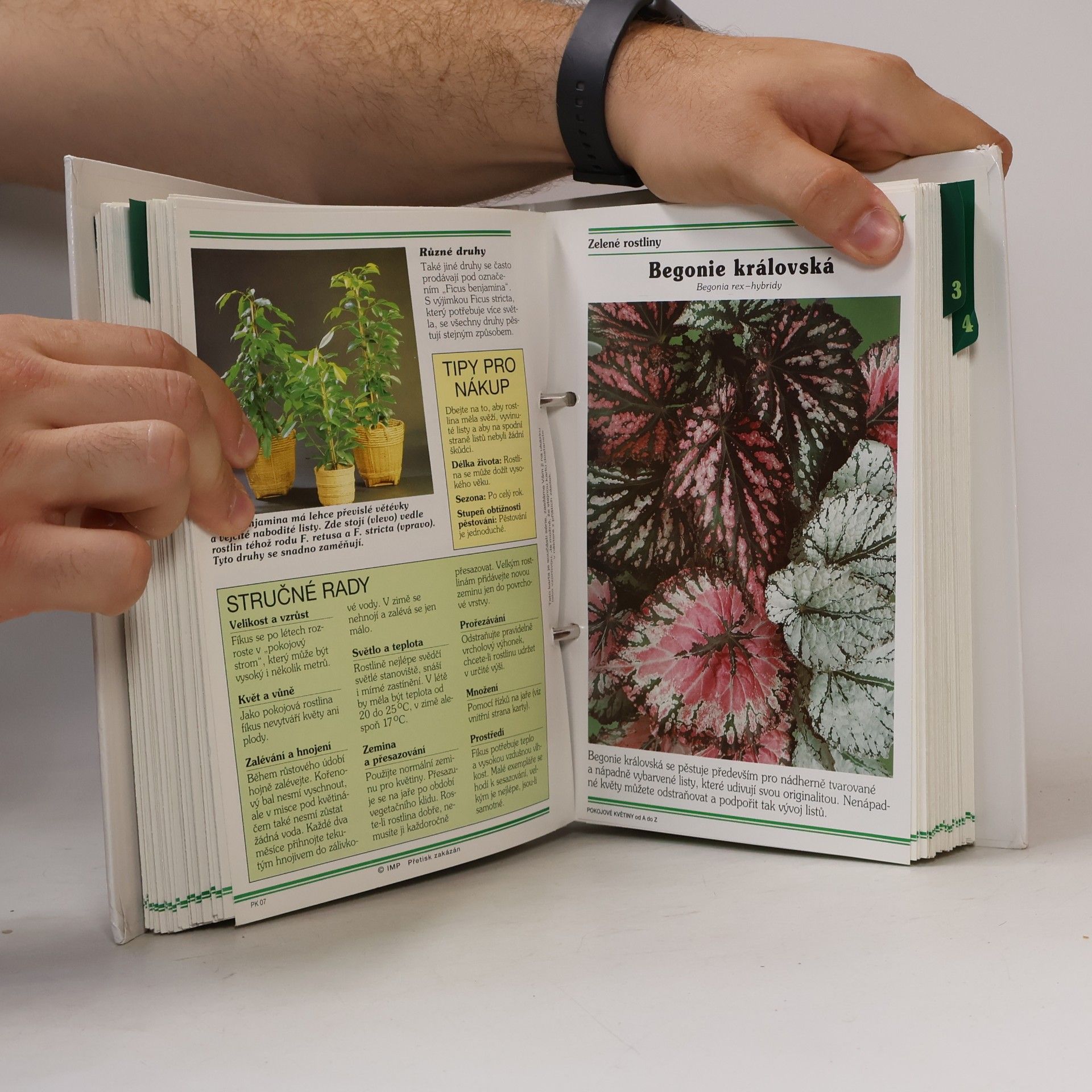 Autores varios Pokojové květiny od A do Z 1