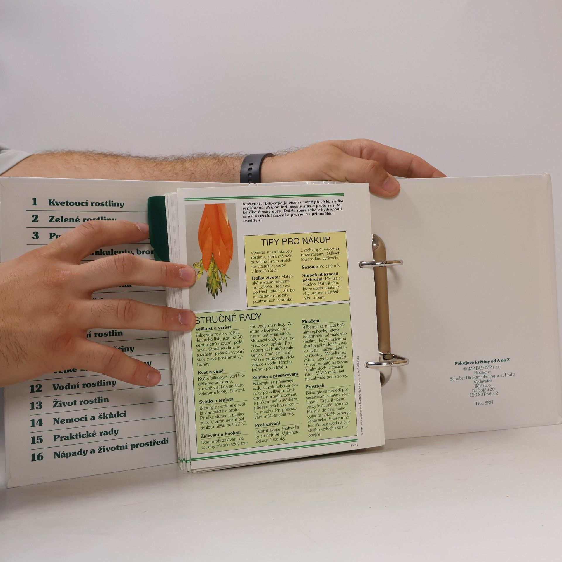 Autores varios Pokojové květiny od A do Z 1