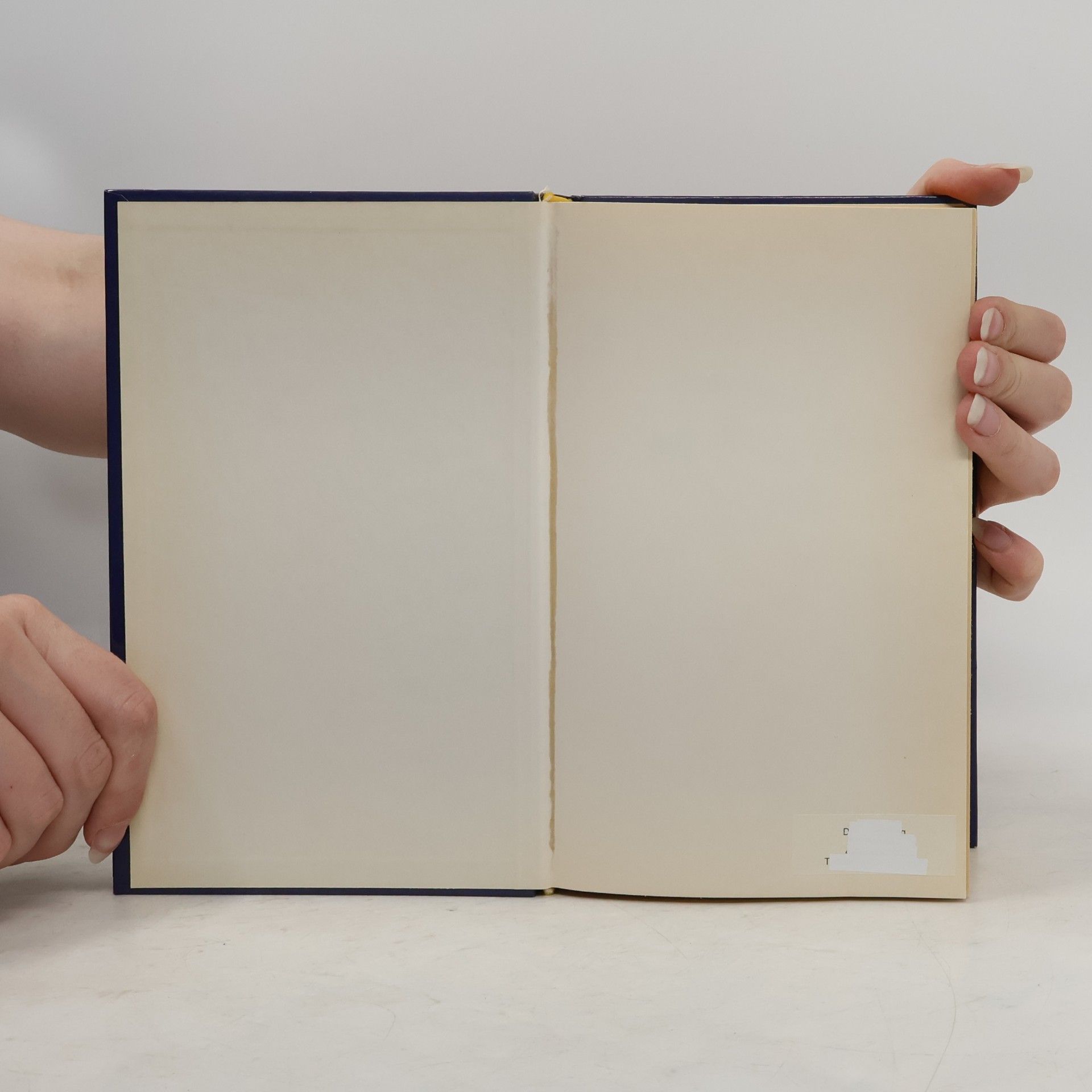 Autorenkollektiv Lexikon für Rätsel-Freunde