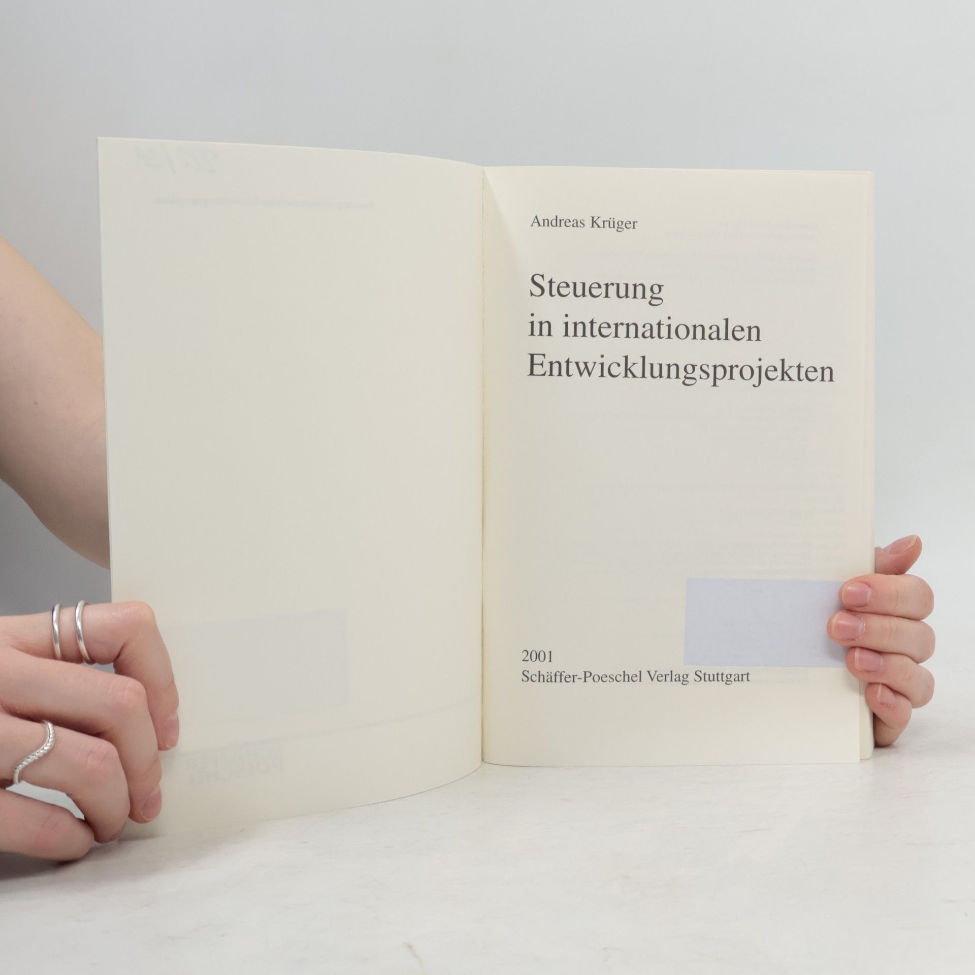 Andreas Krüger Steuerung in internationalen Entwicklungsprojekten - Diss.
