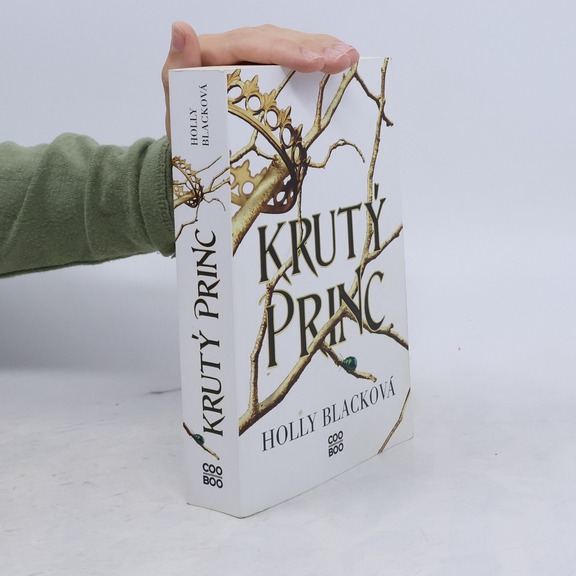 Holly Black Krutý princ