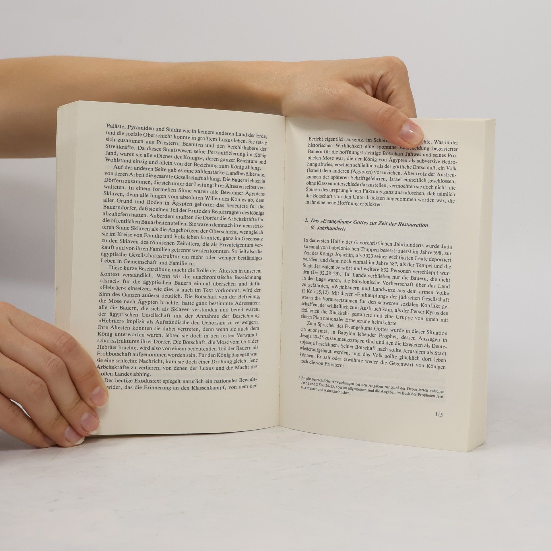 Clodovis Boff Bibliothek Theologie der Befreiung: Die Option für die Armen