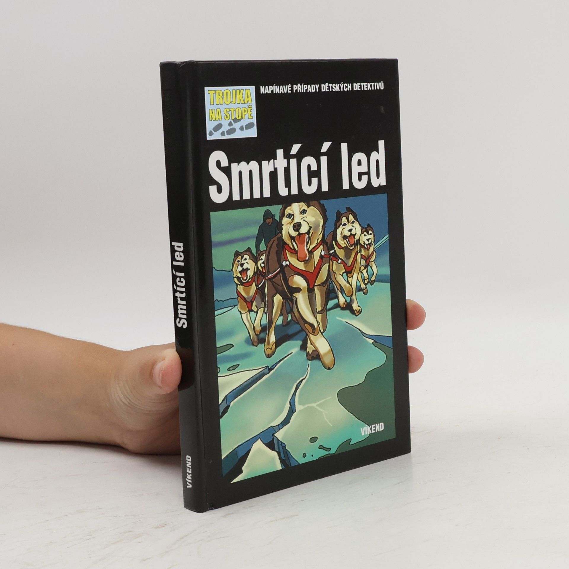 Kari Erlhoff Smrtící led