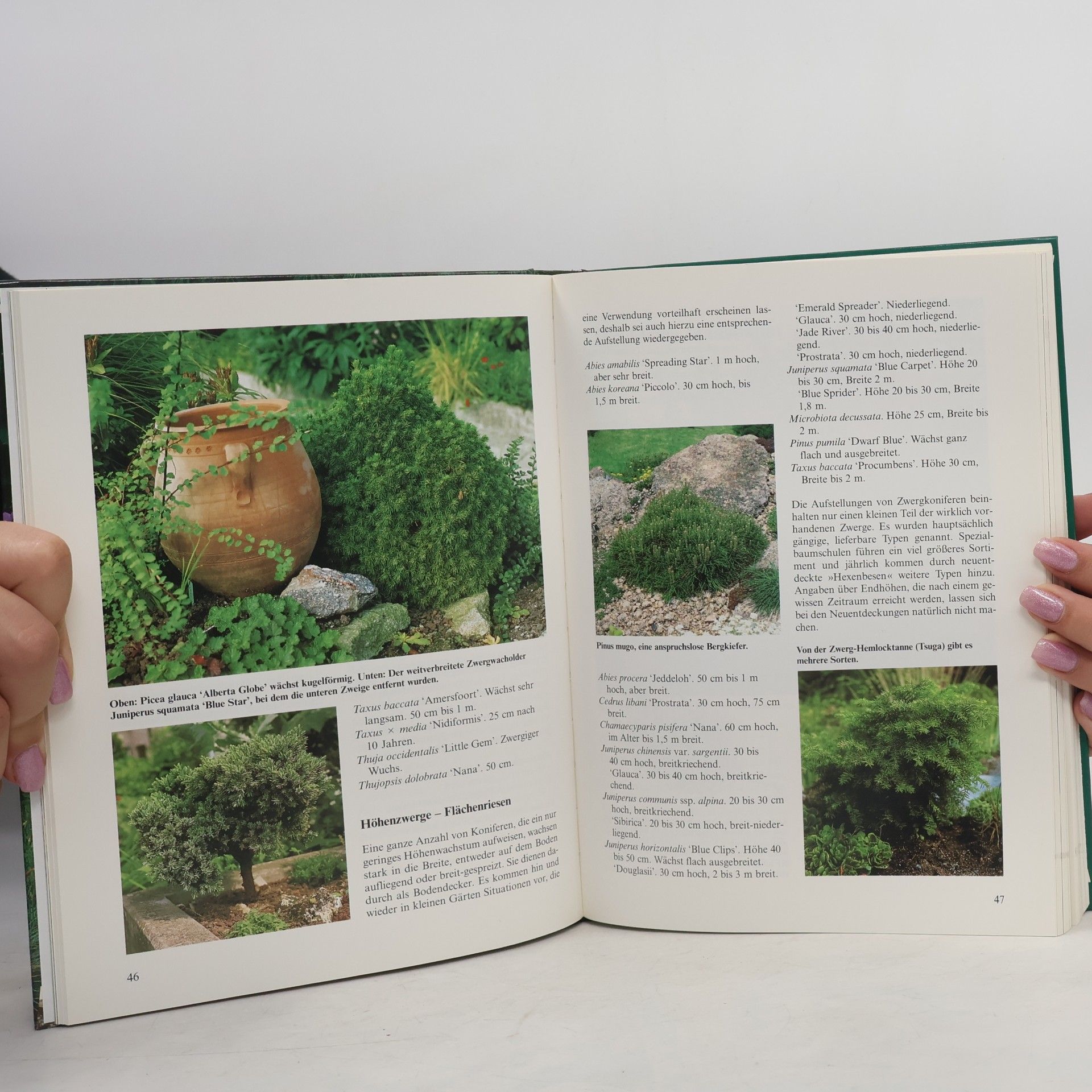 Fritz Köhlein Kleine Pflanzen für kleine Gärten