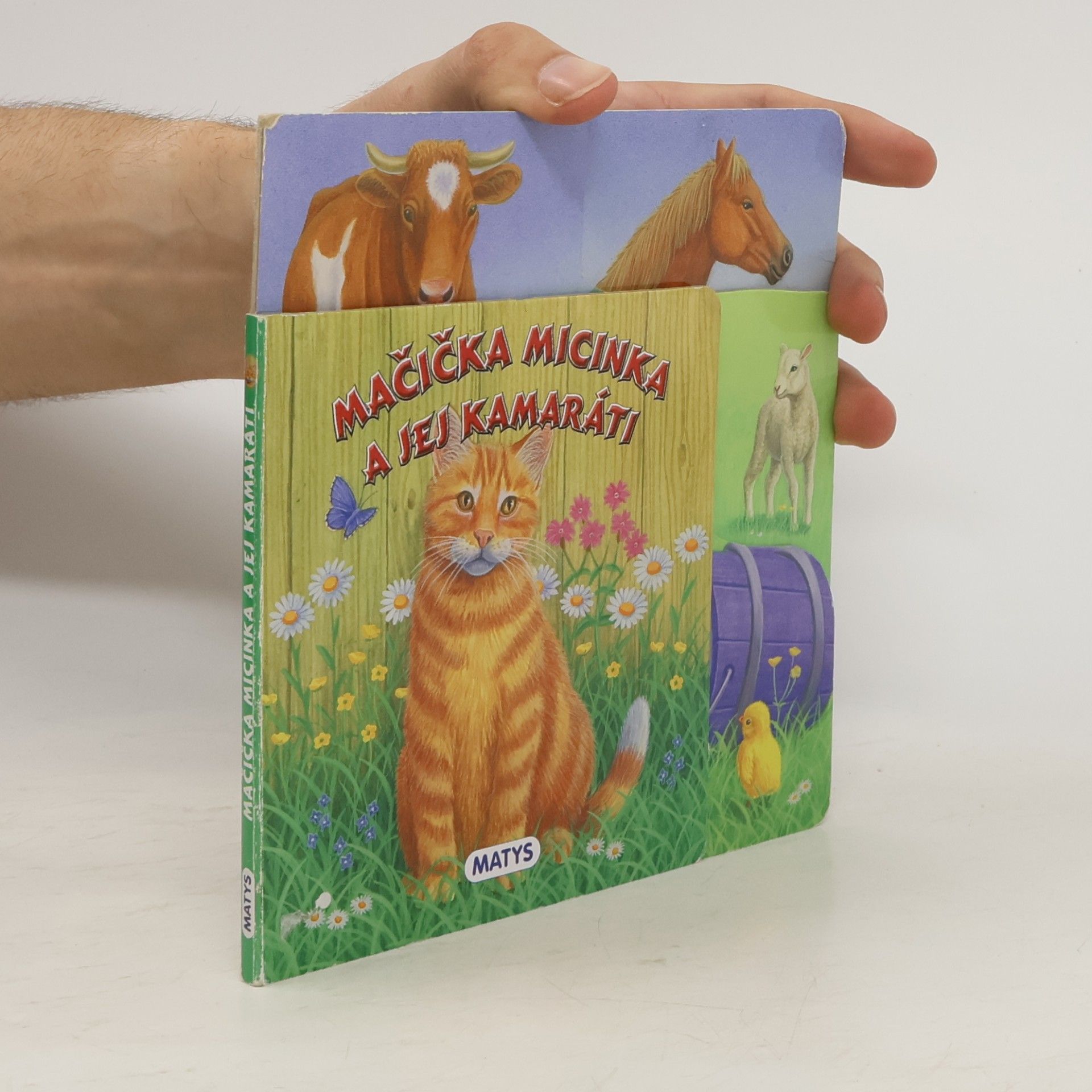 Various authors Mačička Micinka a jej kamaráti