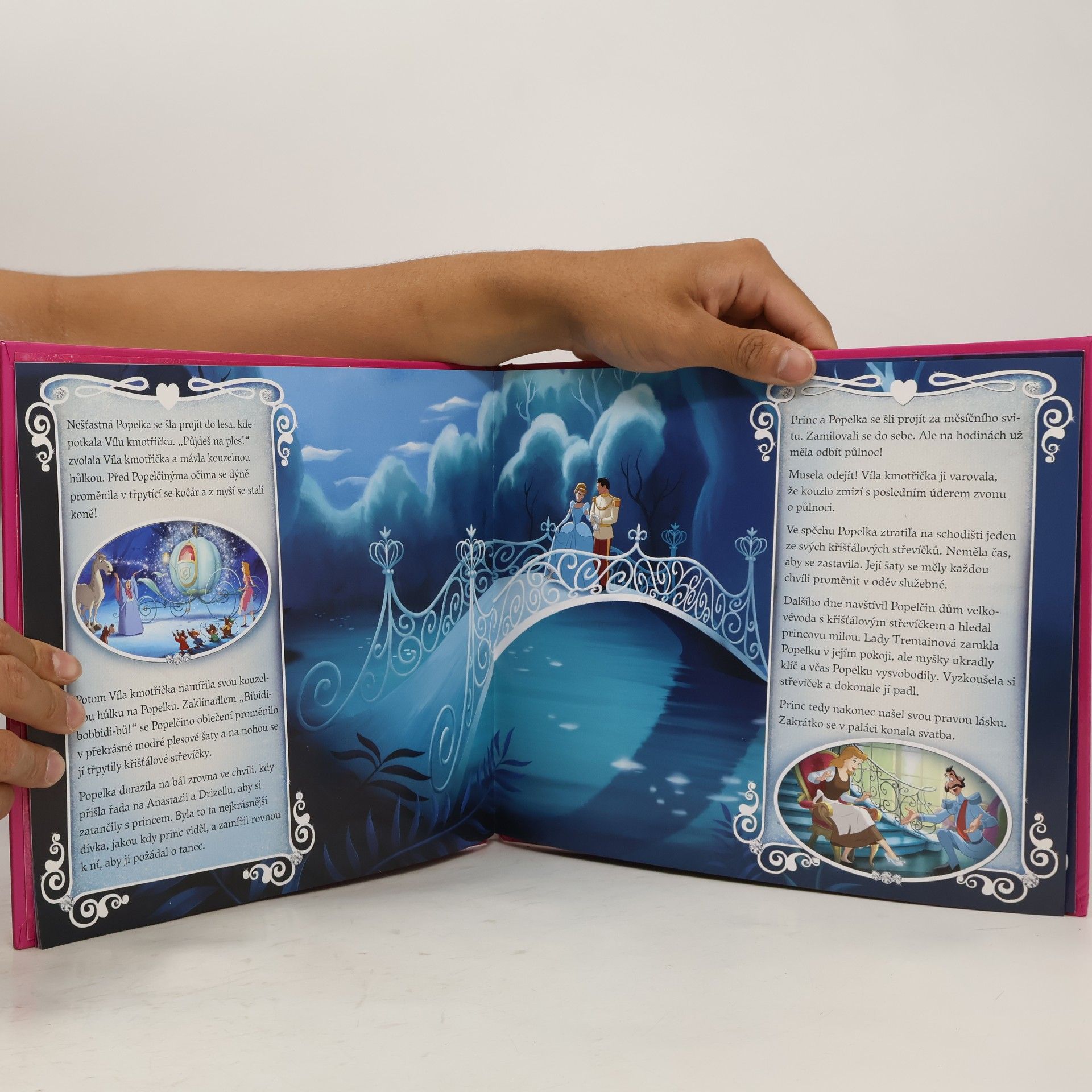 Andrea Vašíčková Disney princezny : okouzlující 3D efekty