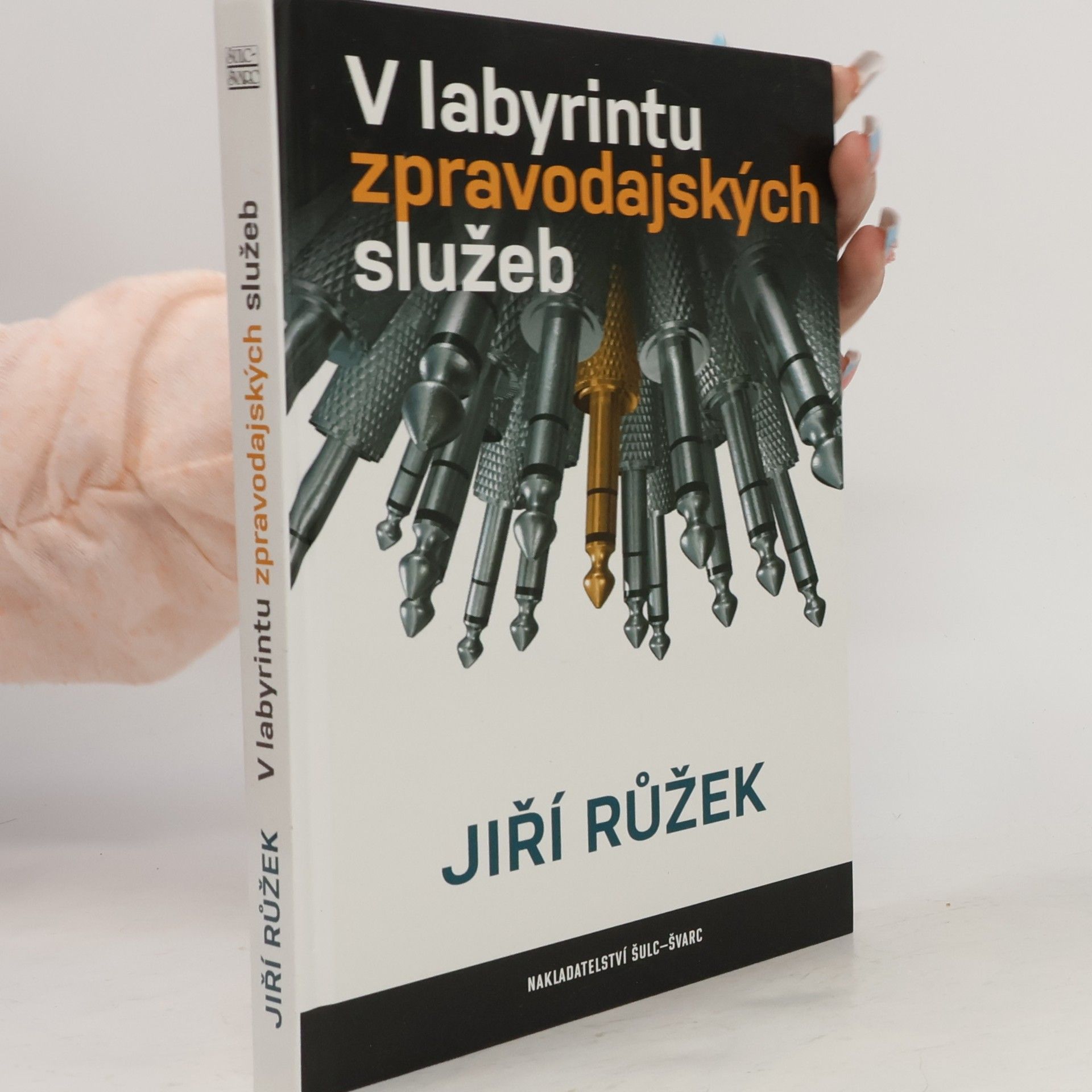 Jiří Růžek V labyrintu zpravodajských služeb