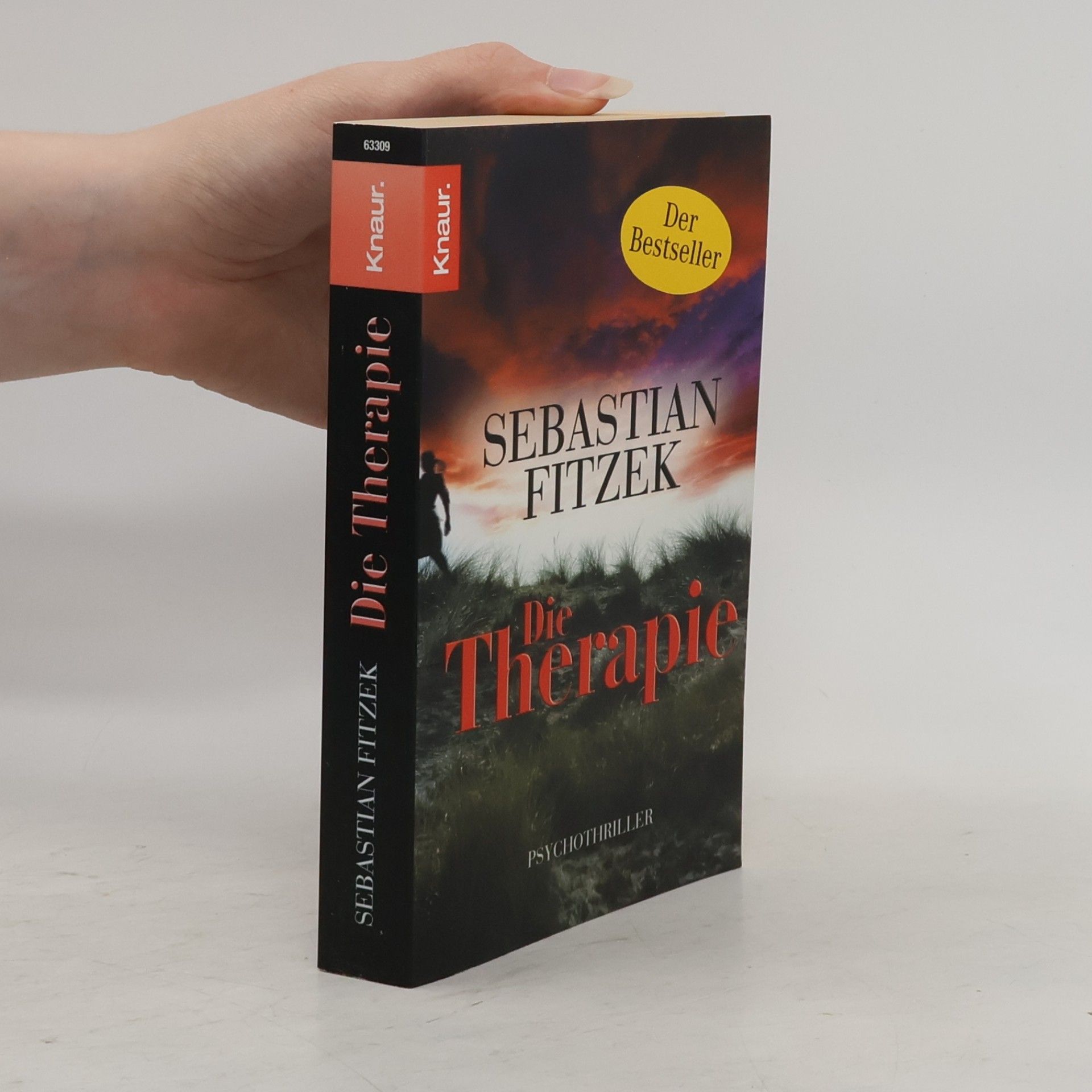 Sebastian Fitzek Die Therapie