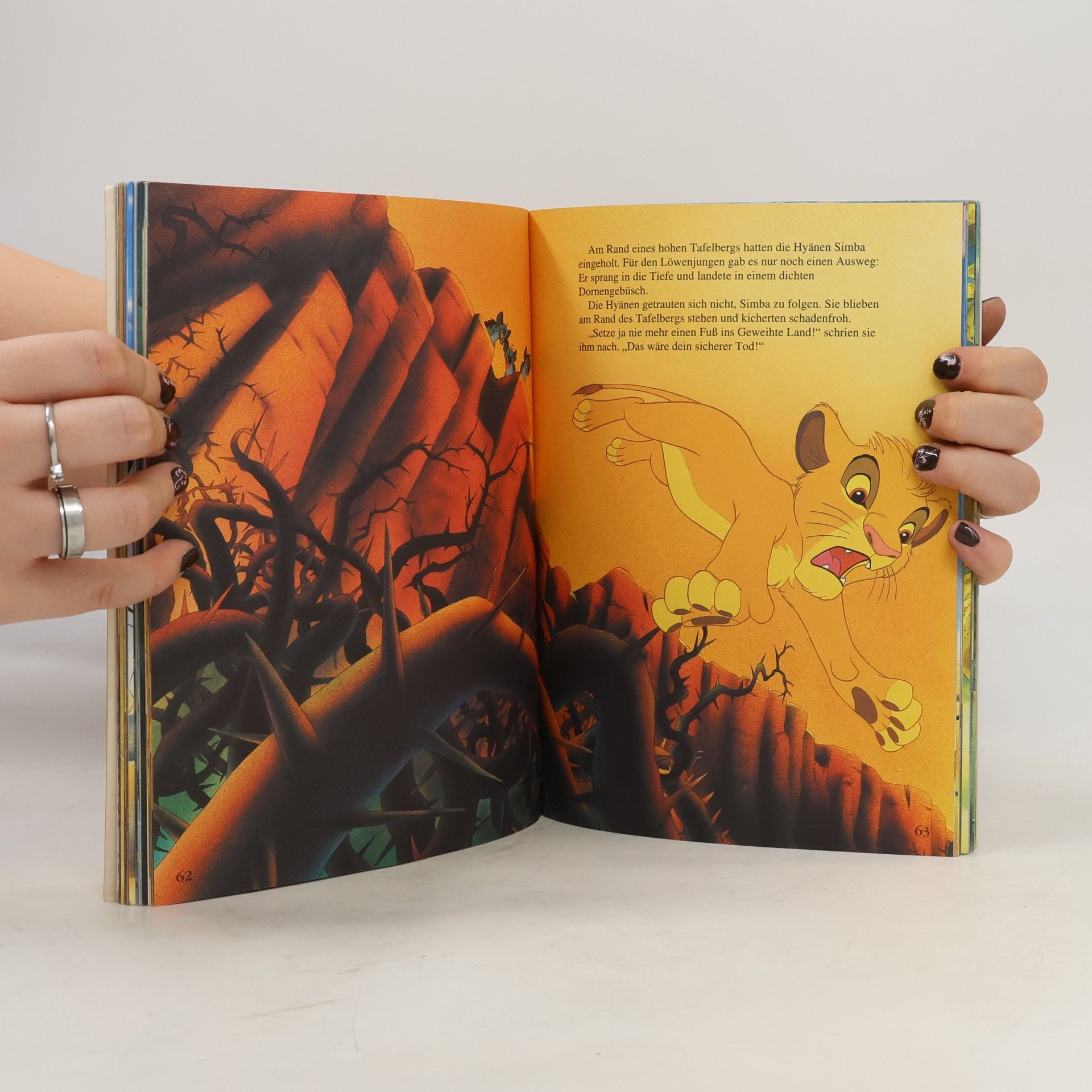 Autorenkollektiv Der König der Löwen