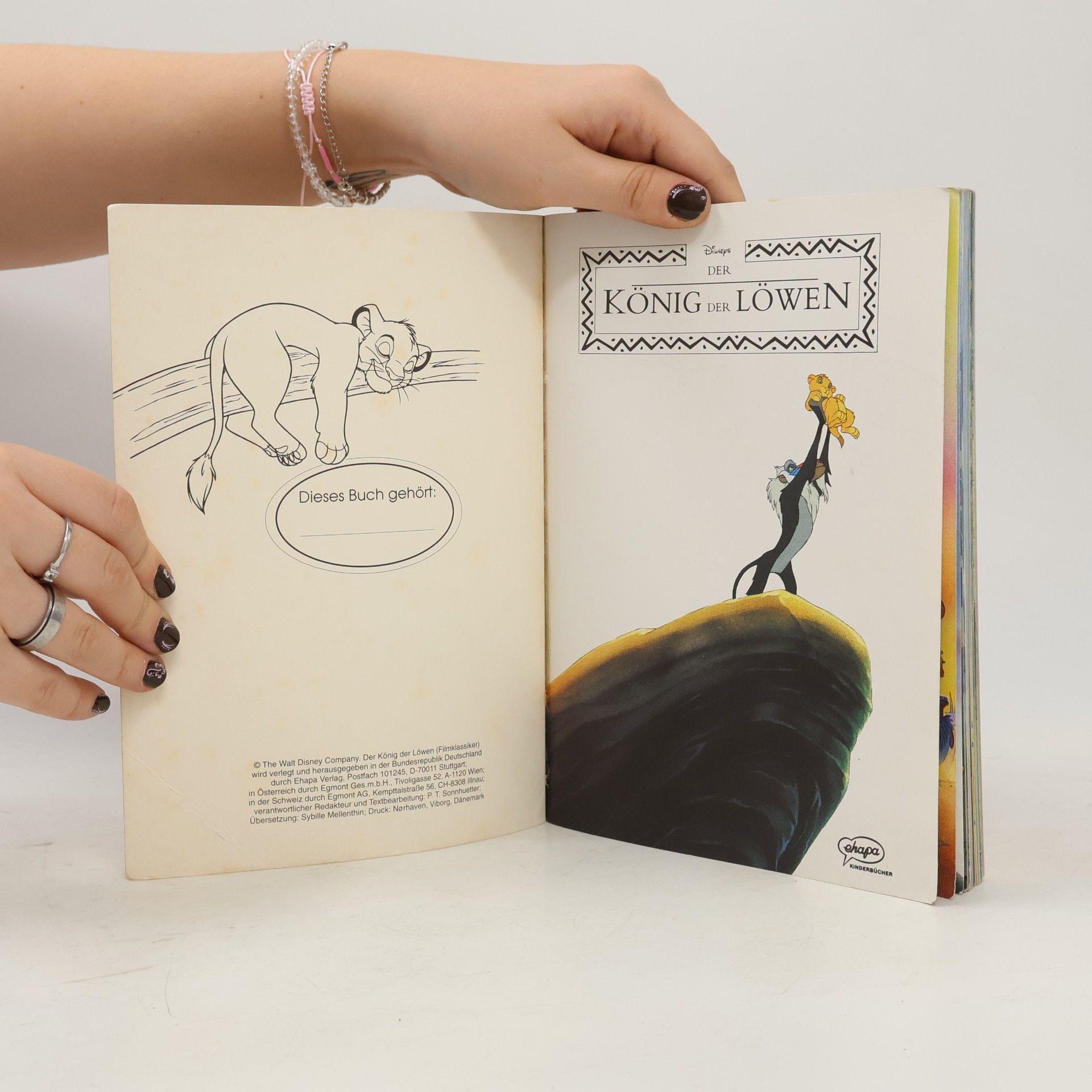 Autorenkollektiv Der König der Löwen