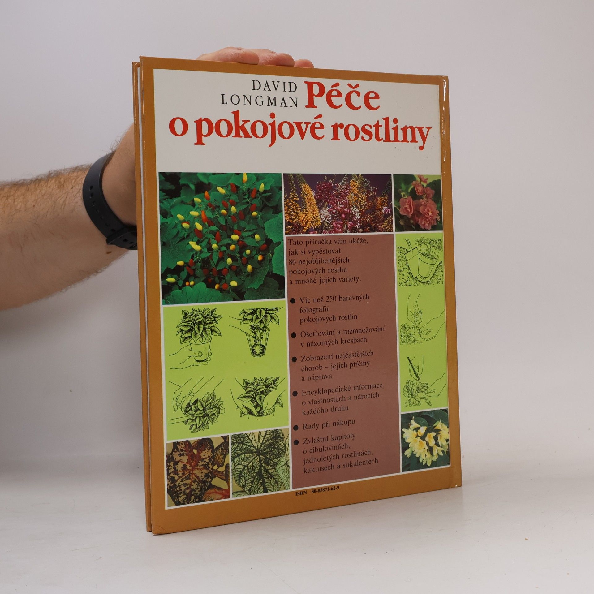 David Longman Péče o pokojové rostliny