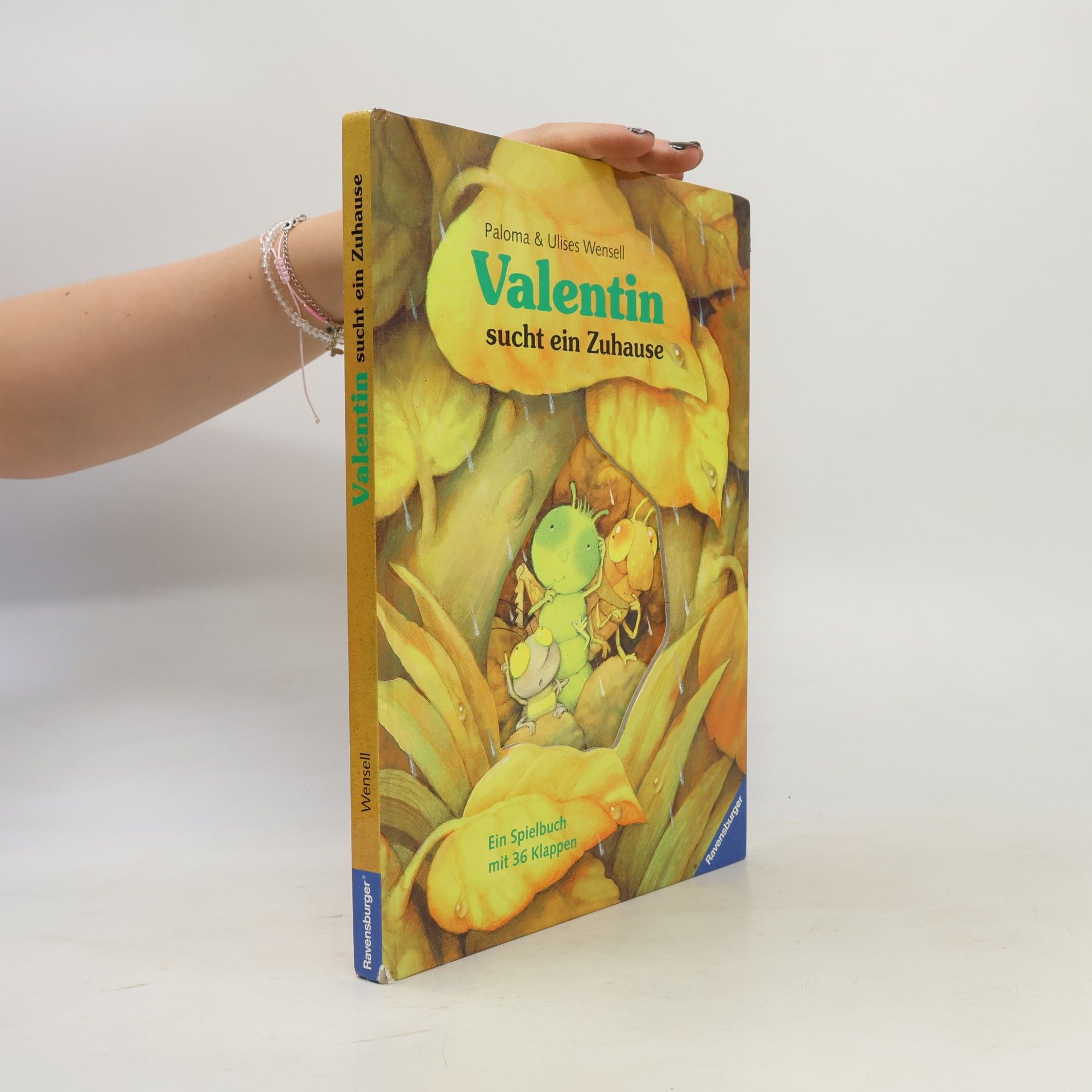 Paloma Wensell Valentin sucht ein Zuhause. Ein Spielbuch mit 36 Klappen