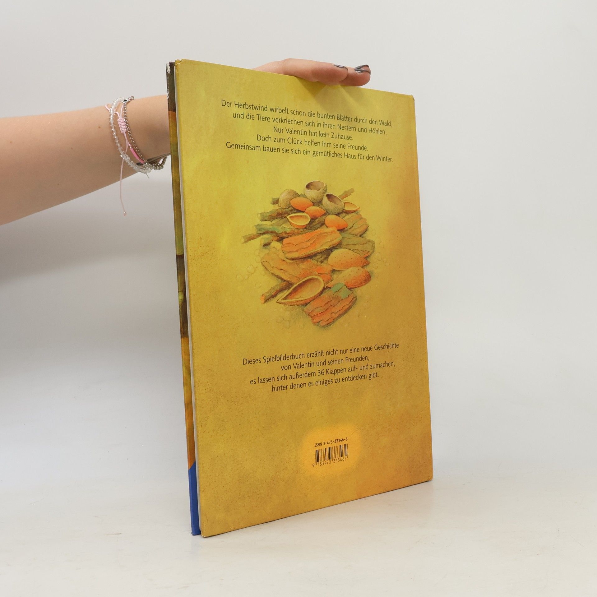 Paloma Wensell Valentin sucht ein Zuhause. Ein Spielbuch mit 36 Klappen