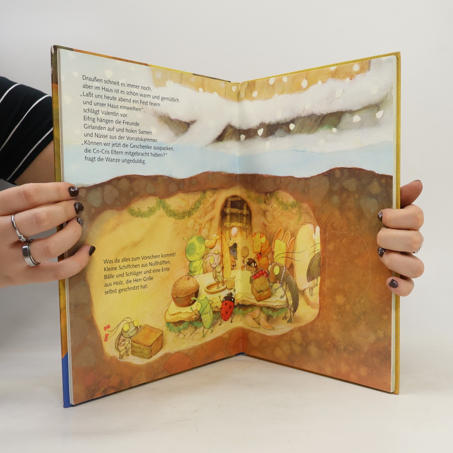 Paloma Wensell Valentin sucht ein Zuhause. Ein Spielbuch mit 36 Klappen