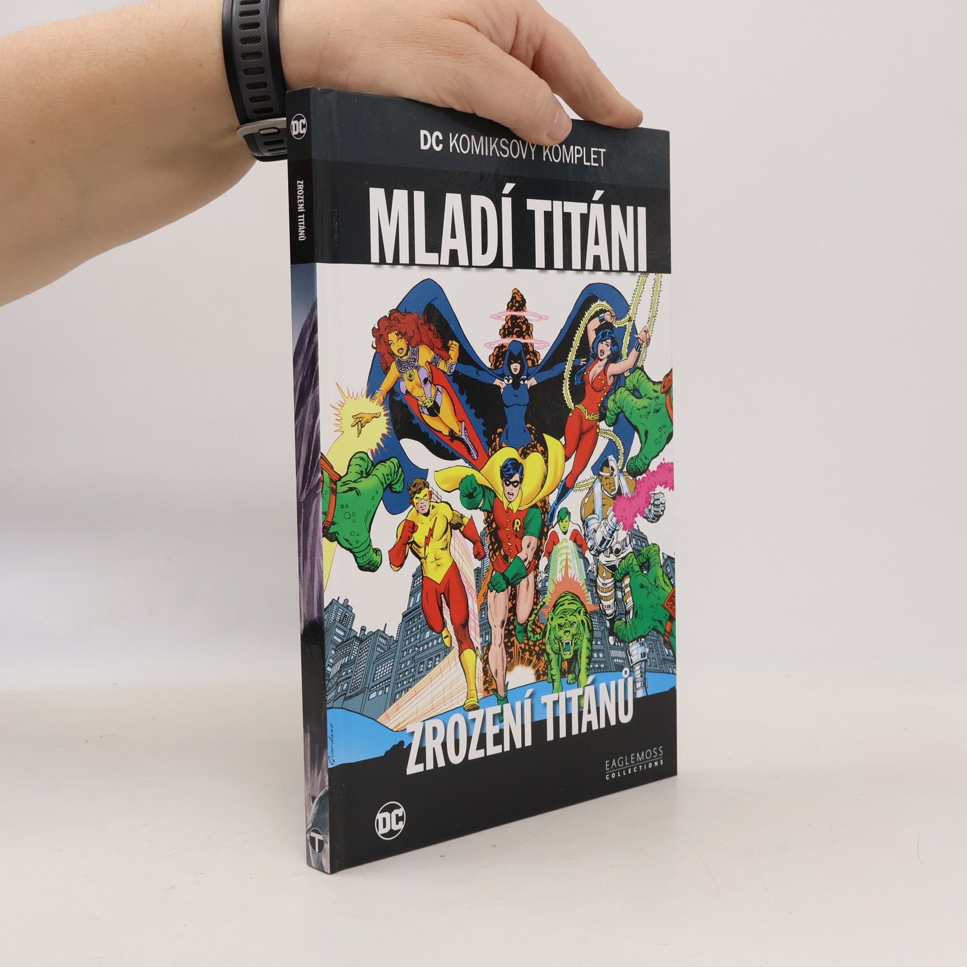 Kolektiv autorů Mladí titáni. Zrození titánů