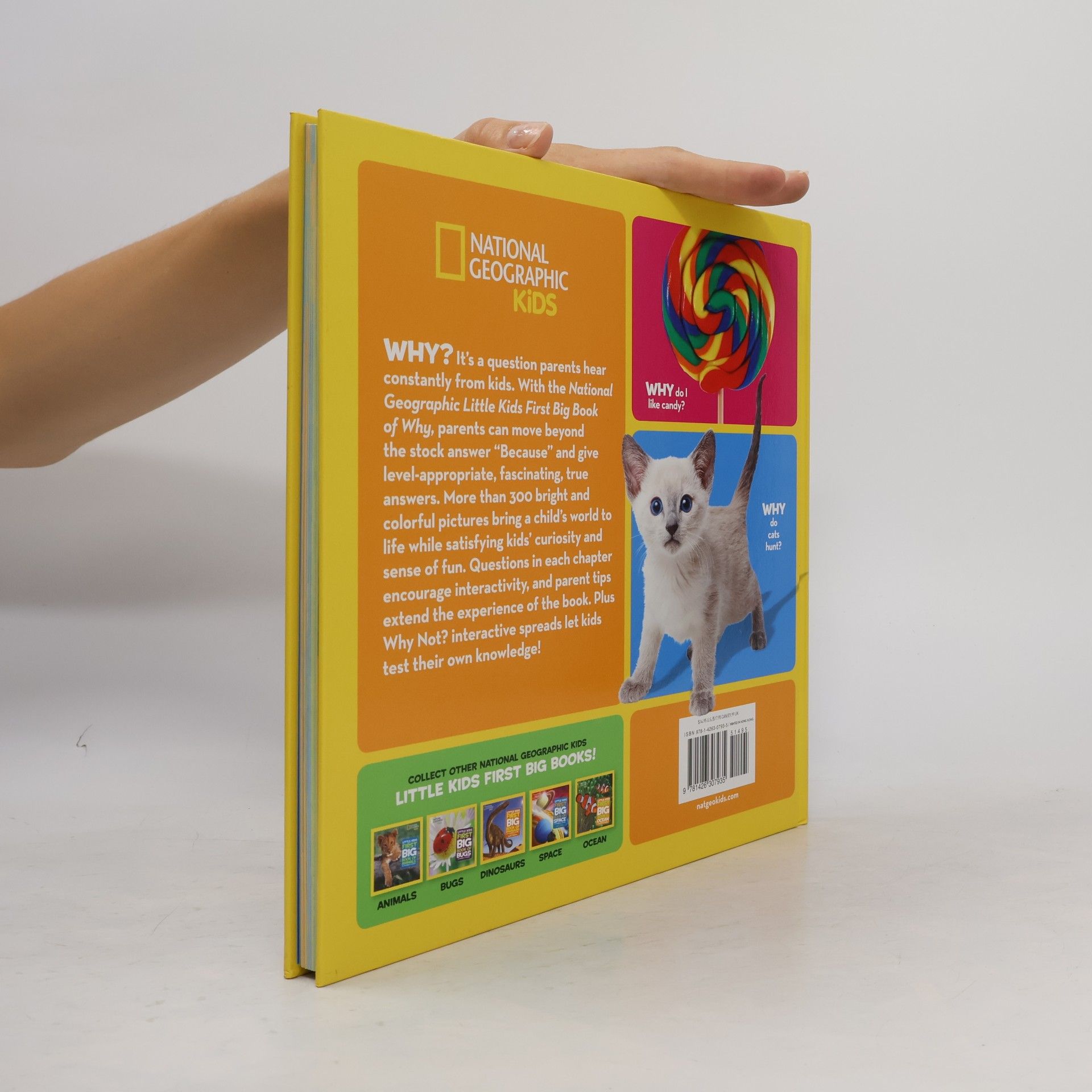 Amy Shields Little Kids First Big Book of Why