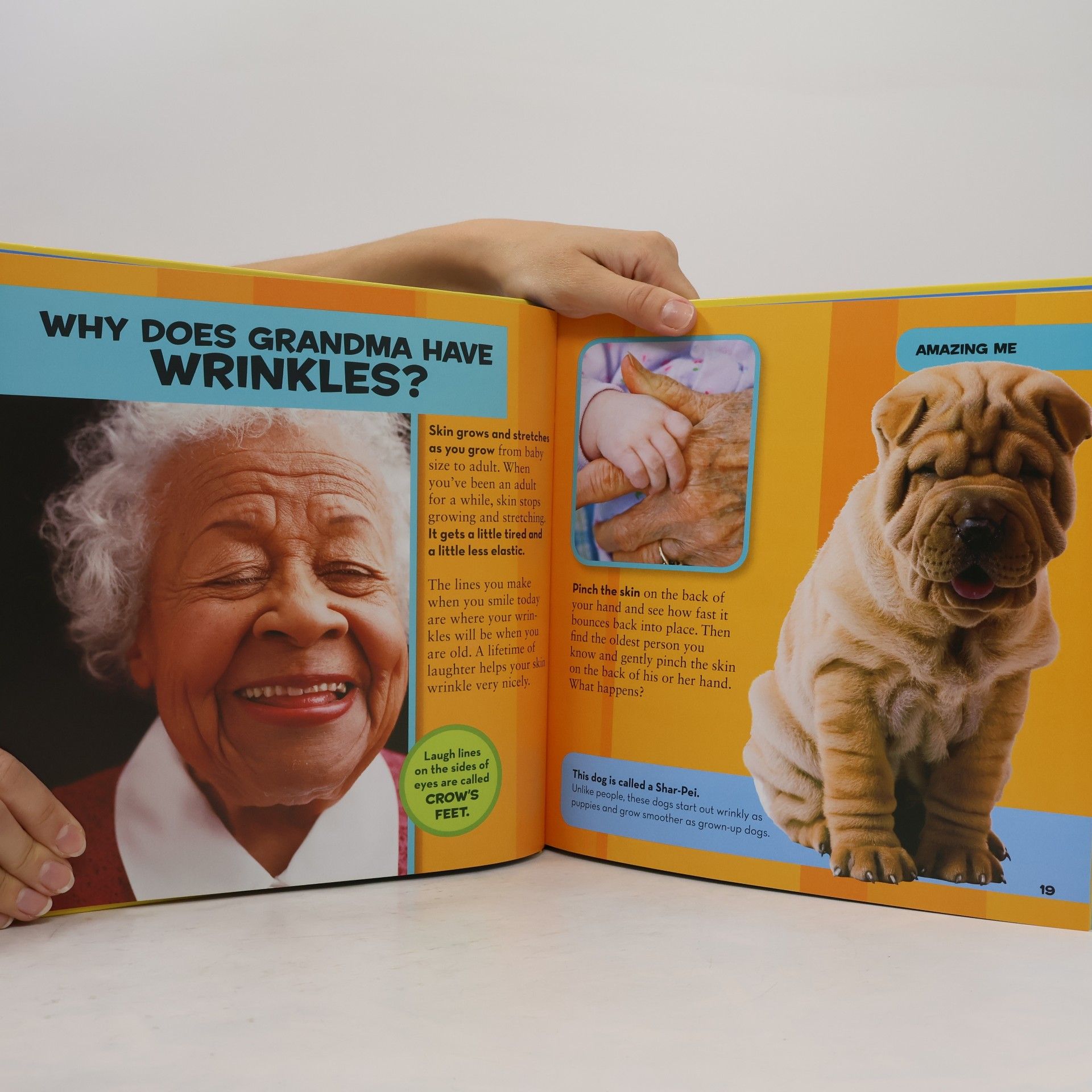 Amy Shields Little Kids First Big Book of Why