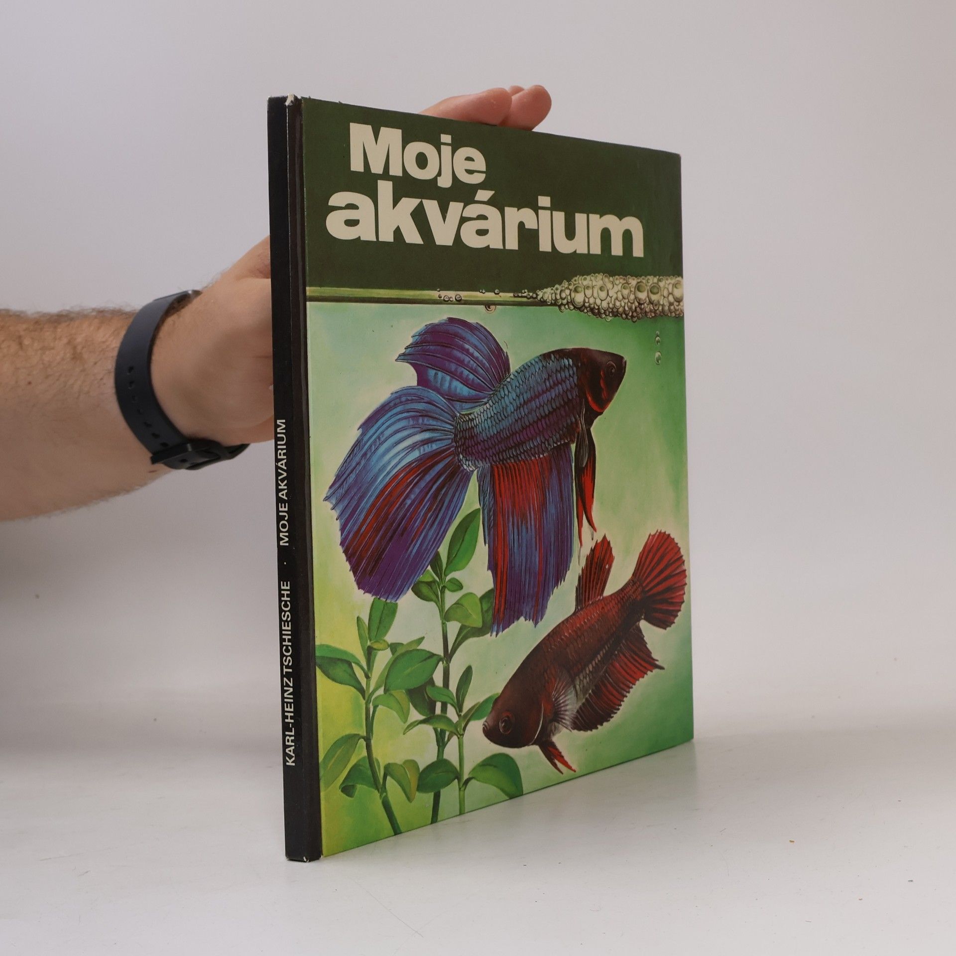 Gisela Flächsig Moje akvárium