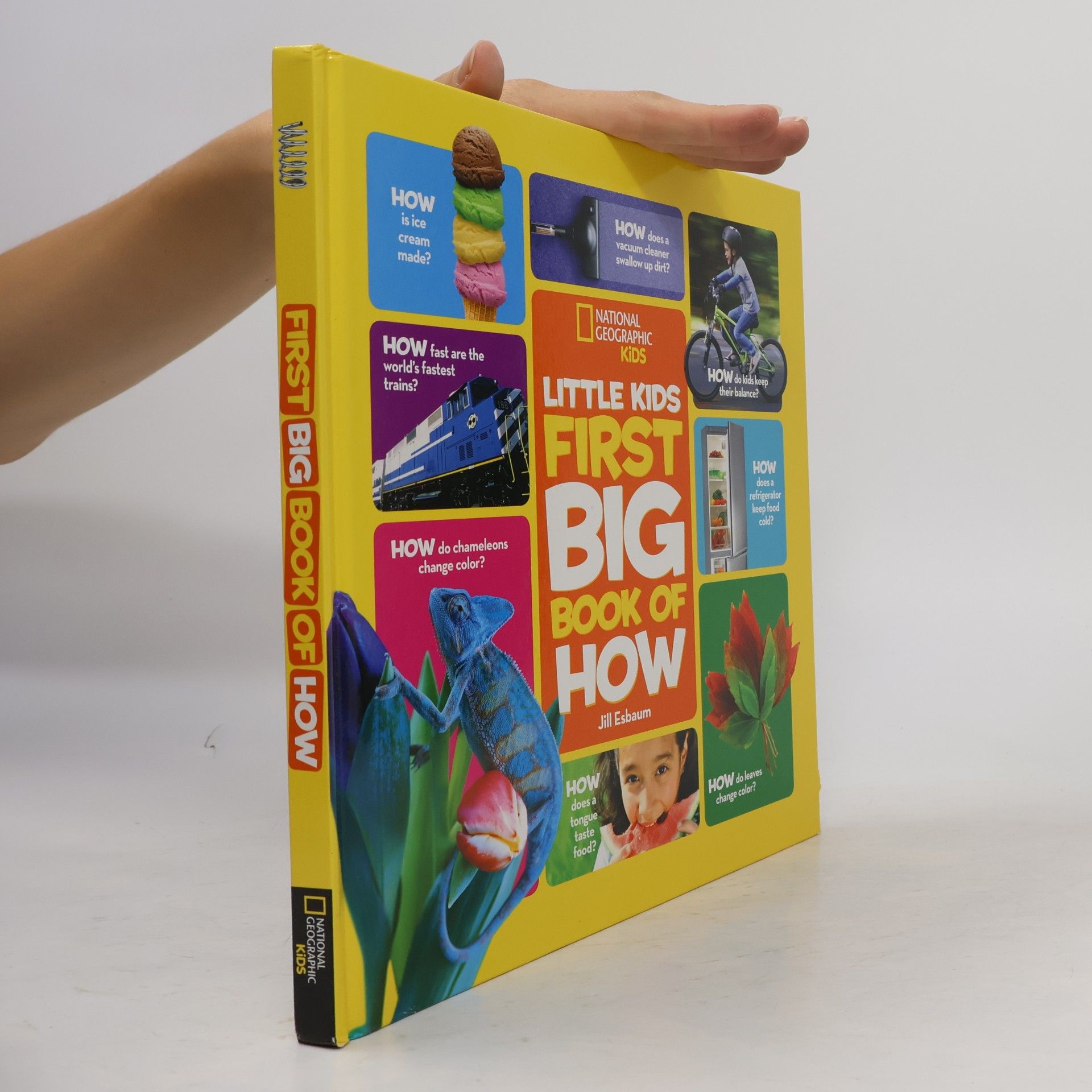 Jill Esbaum Little Kids First Big Book of How