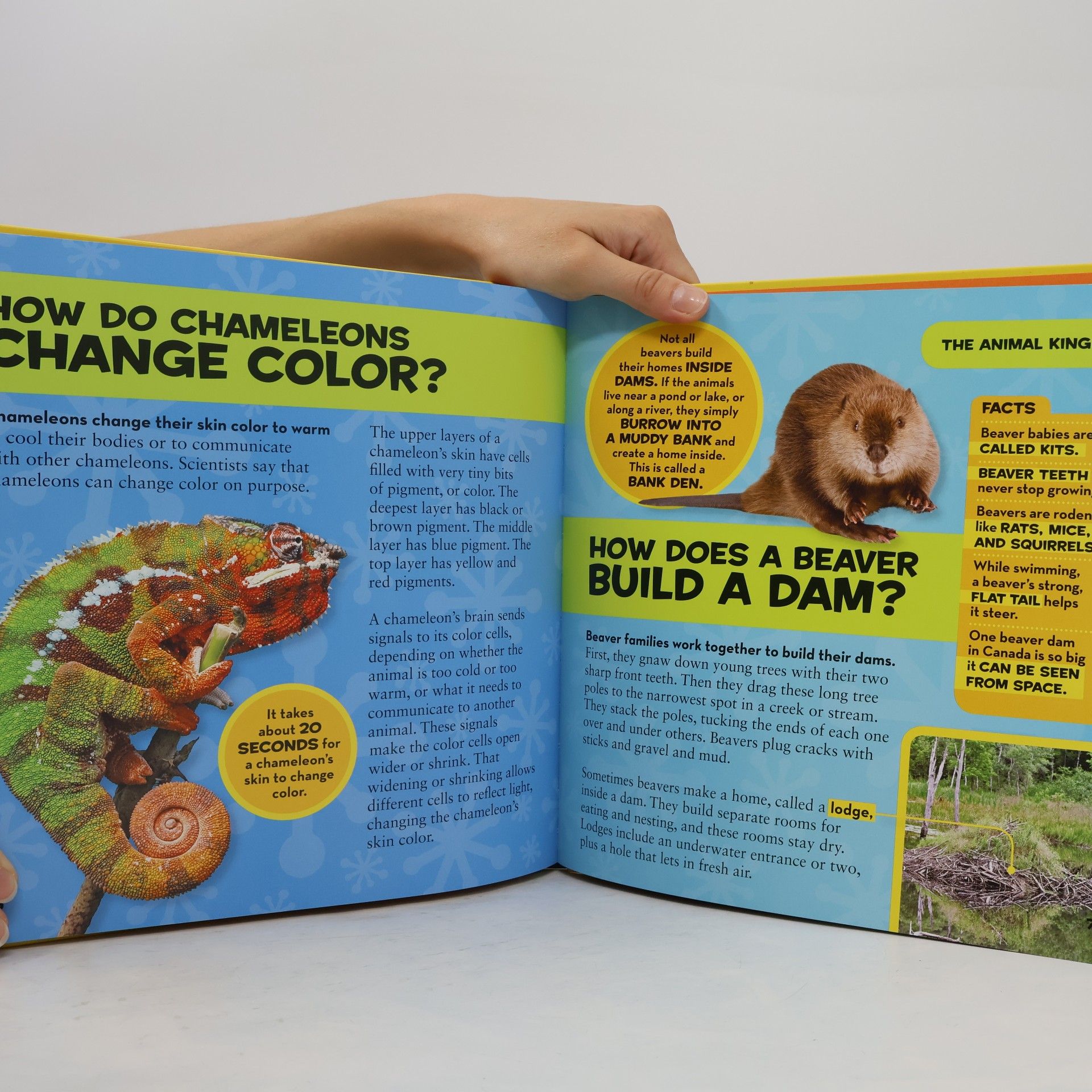 Jill Esbaum Little Kids First Big Book of How