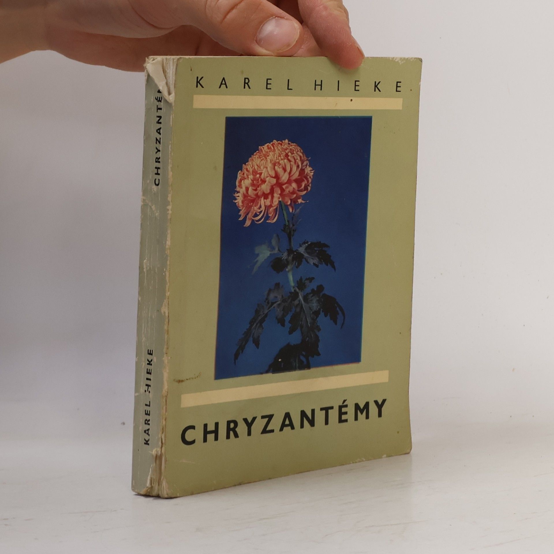 Chryzantémy