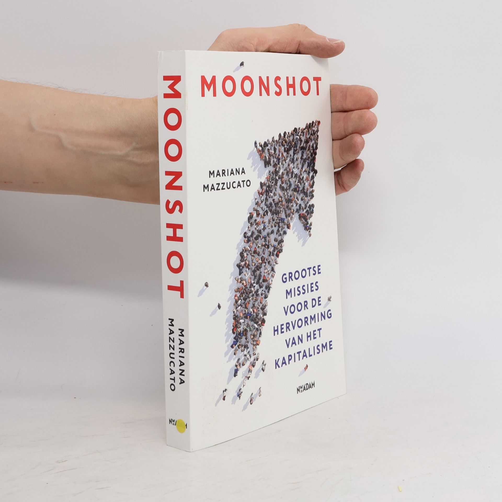 Moonshot. Grootse missies voor de hervorming van het kapitalisme