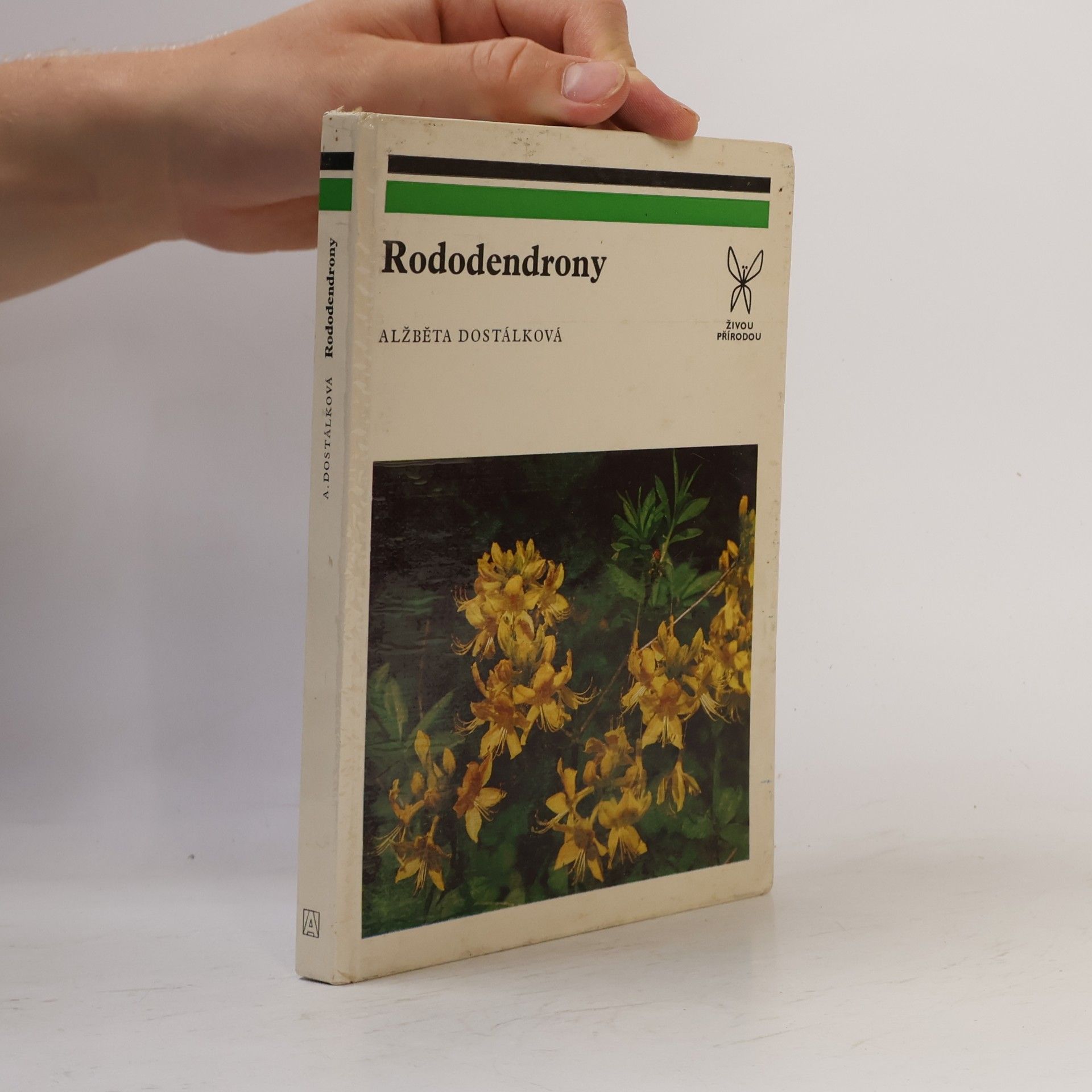 Rododendrony