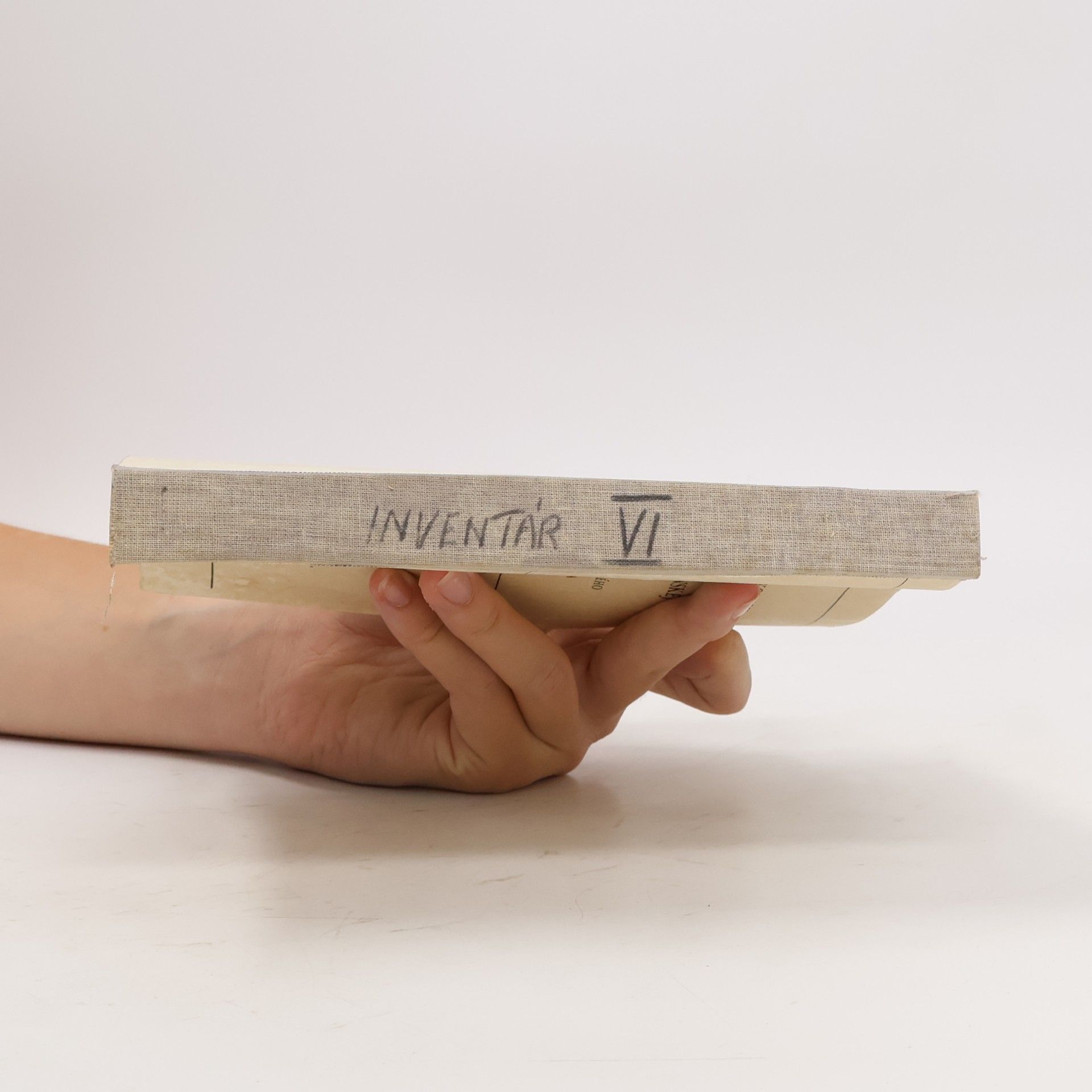 Autorenkollektiv VI. Inventár rukopisov literárneho archívu matice slovenskej