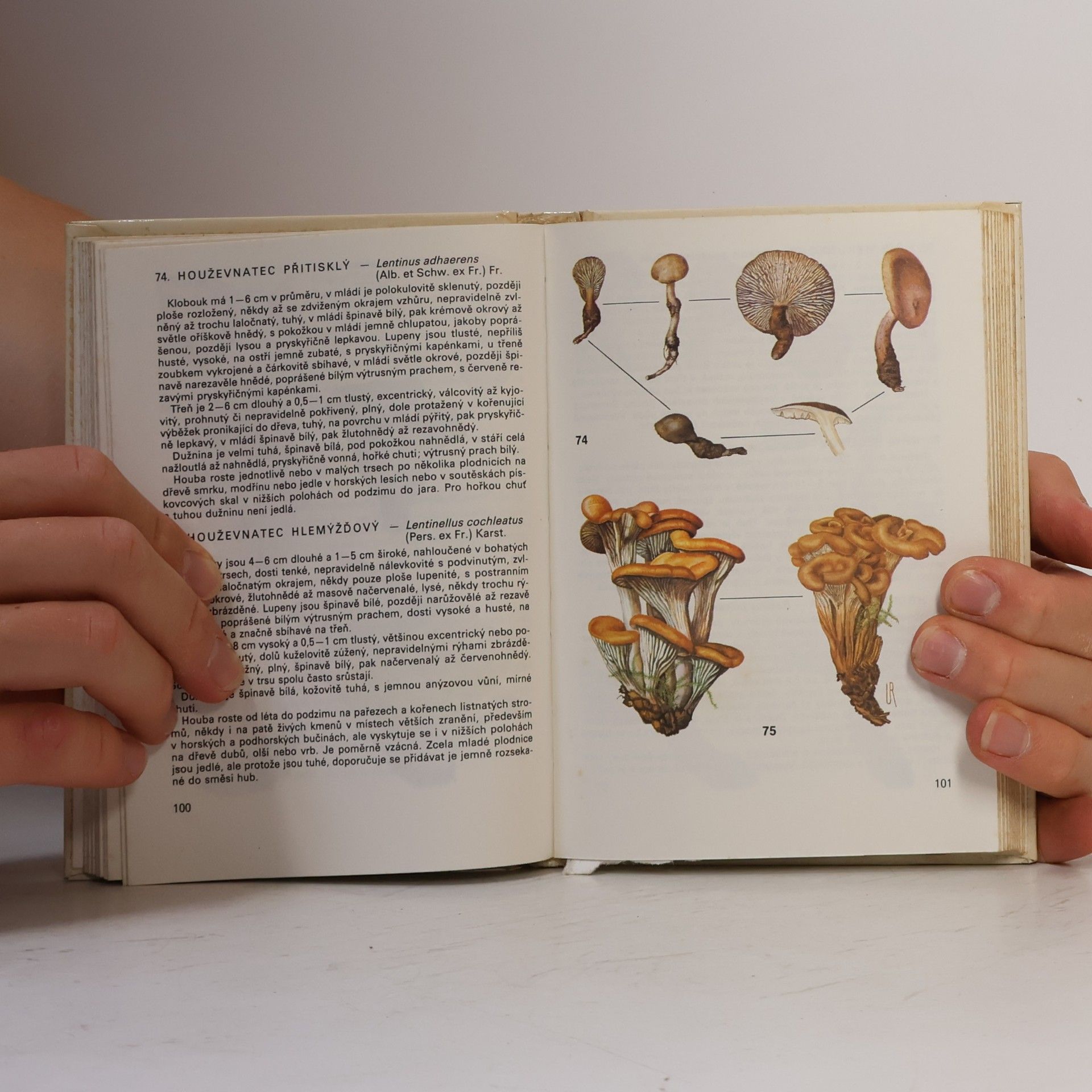 Antonín Příhoda Kapesní atlas hub 2