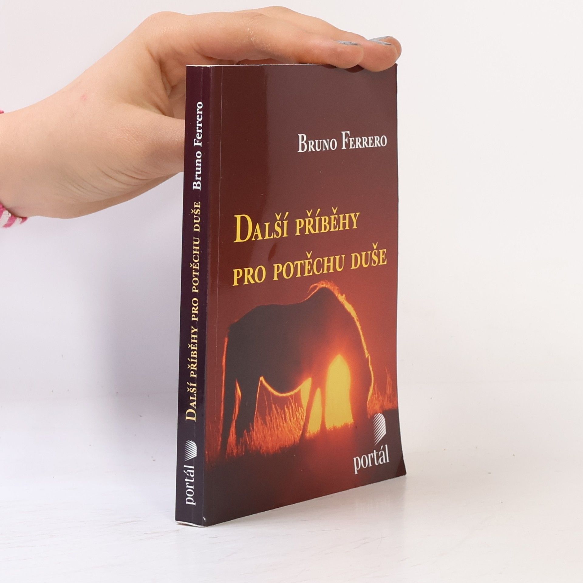 Další příběhy pro potěchu duše