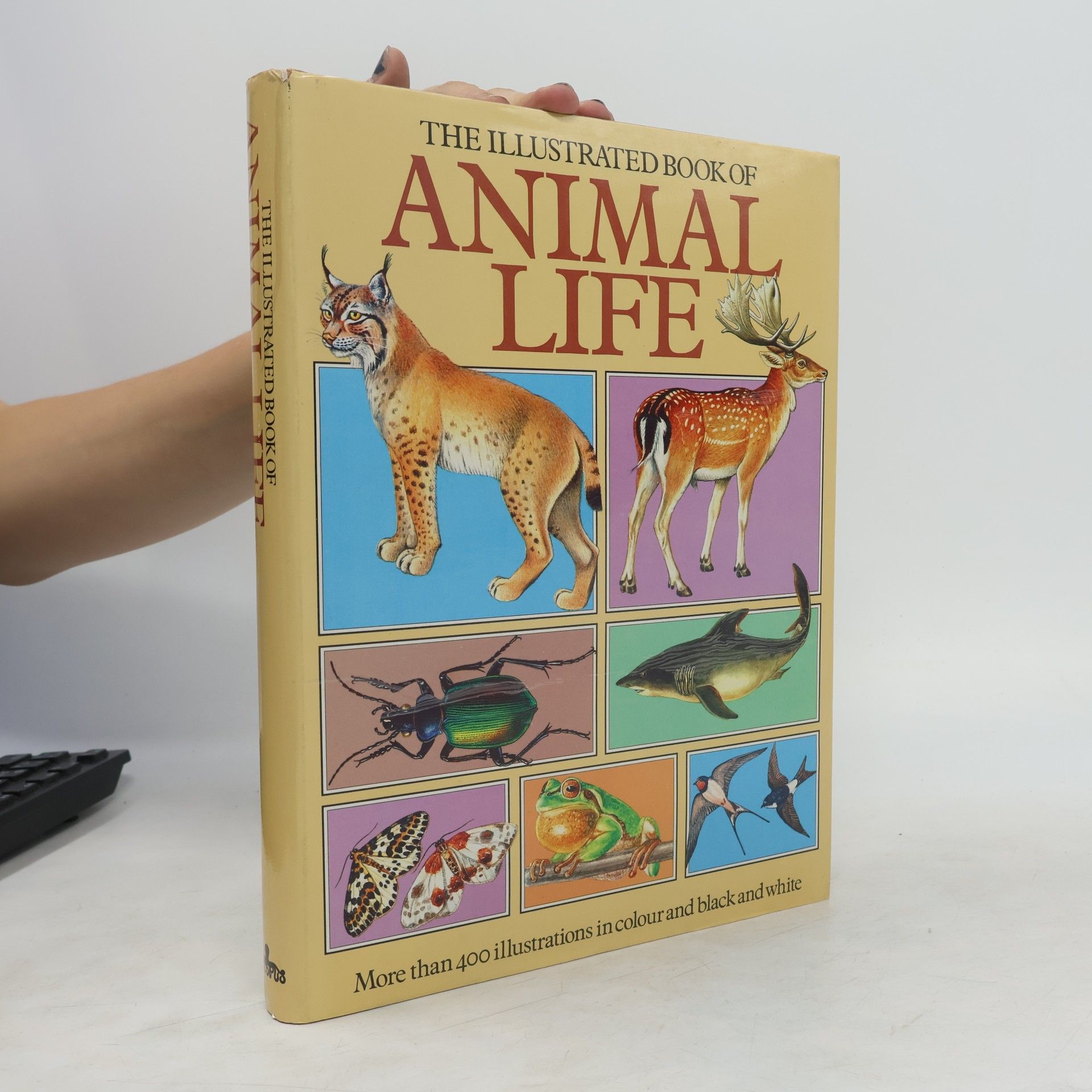 Jana Horáčková The Illustrated Book of Animal Life