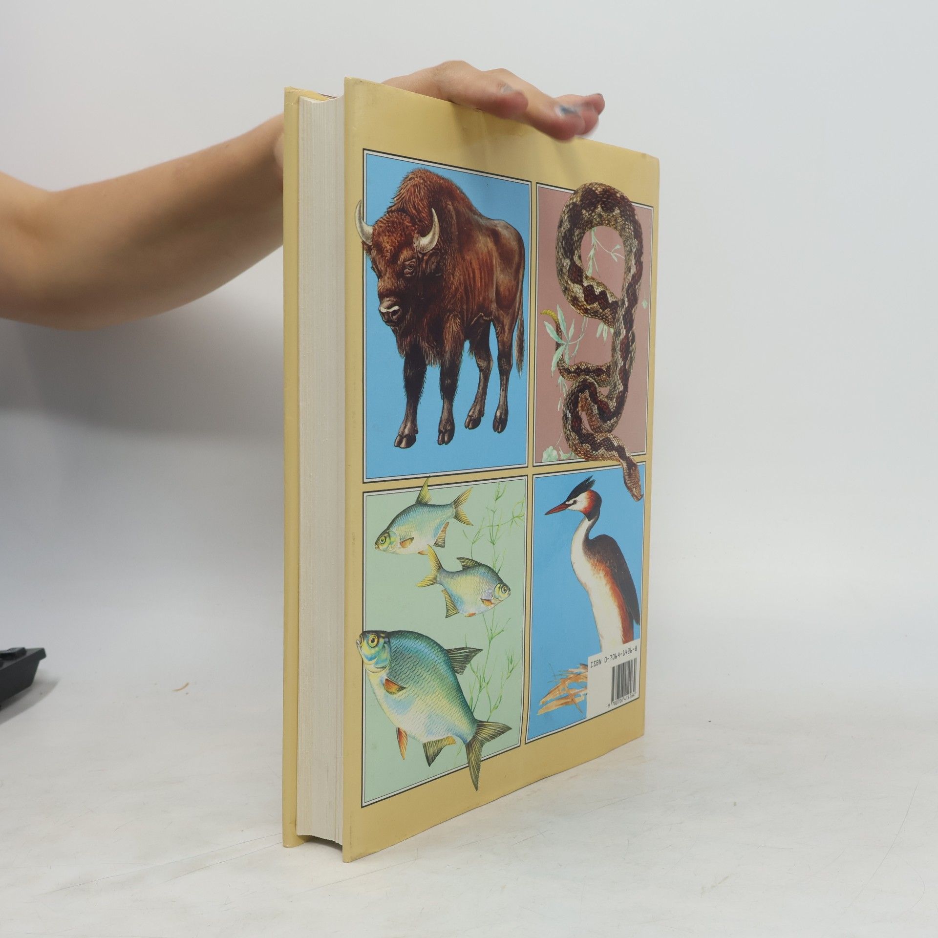 Jana Horáčková The Illustrated Book of Animal Life