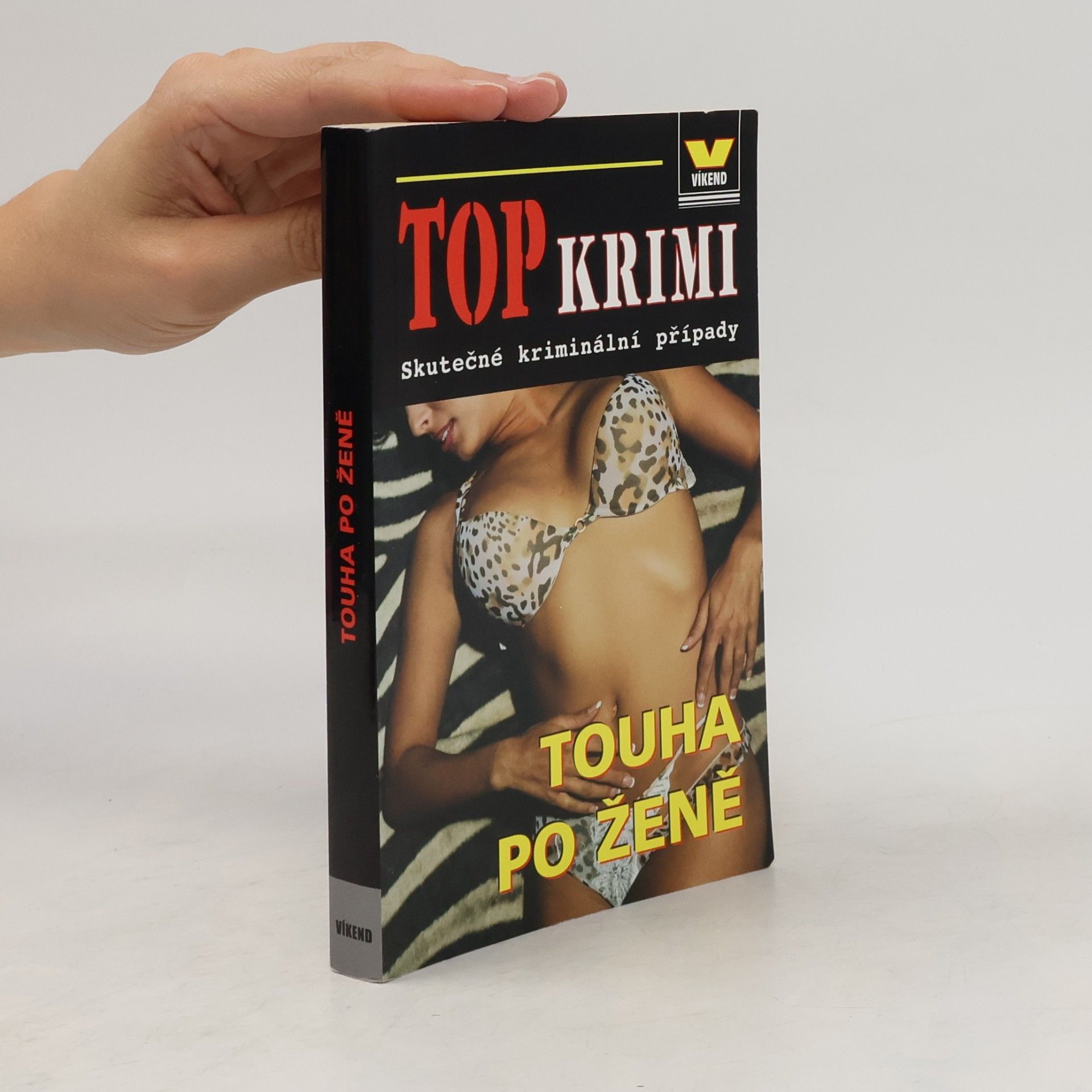 Kolektiv autorů Touha po ženě