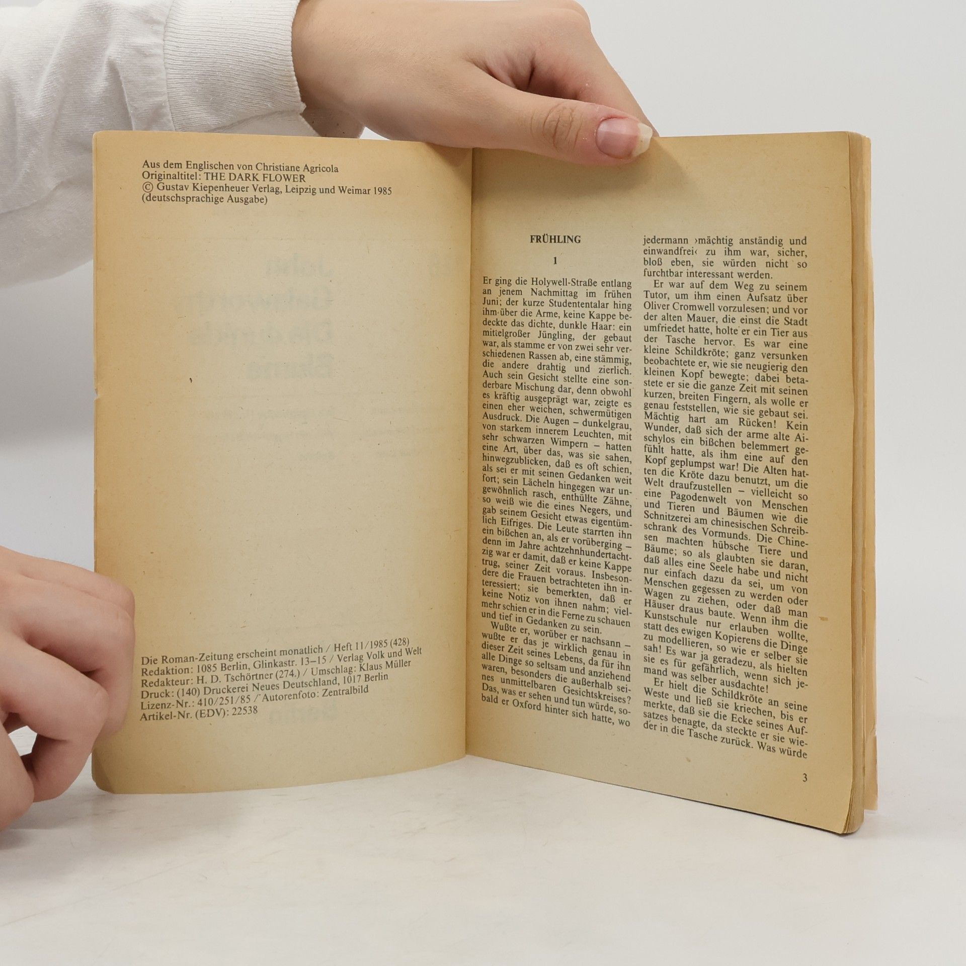 John Galsworthy Romanzeitung 428. Die dunkle Blume
