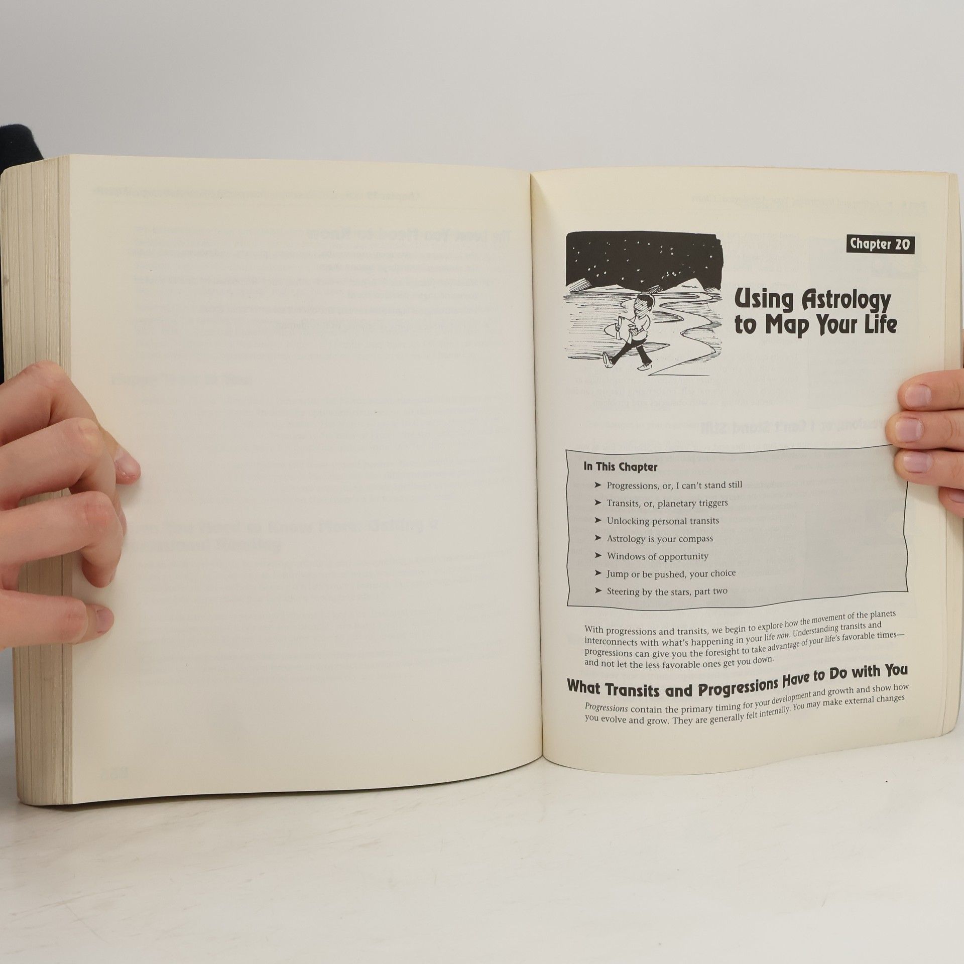 Madeline Gerwick-Brodeur The Complete Idiot's Guide to Astrology
