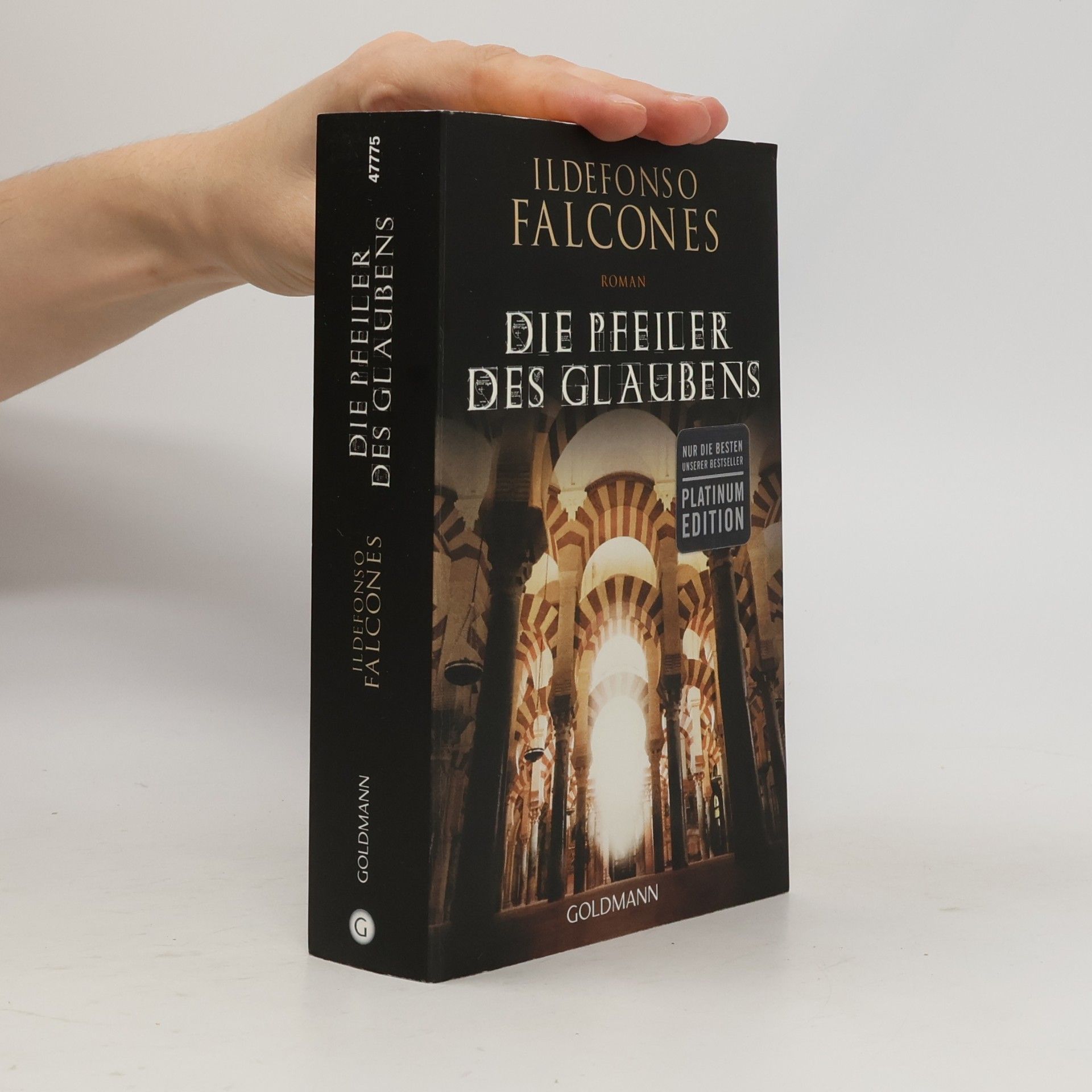 Ildefonso Falcones Die Pfeiler des Glaubens