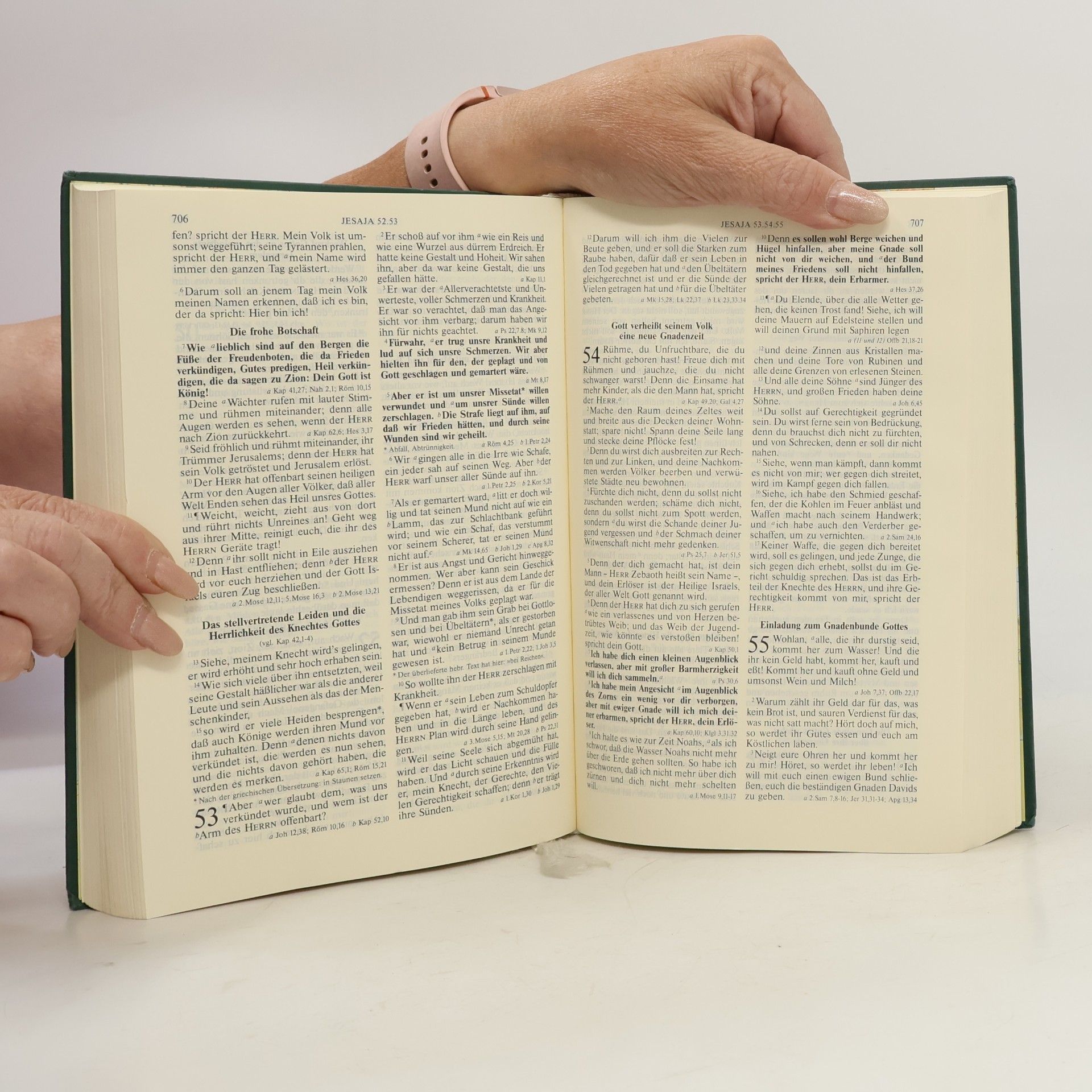 Martin Luther Die Bibel