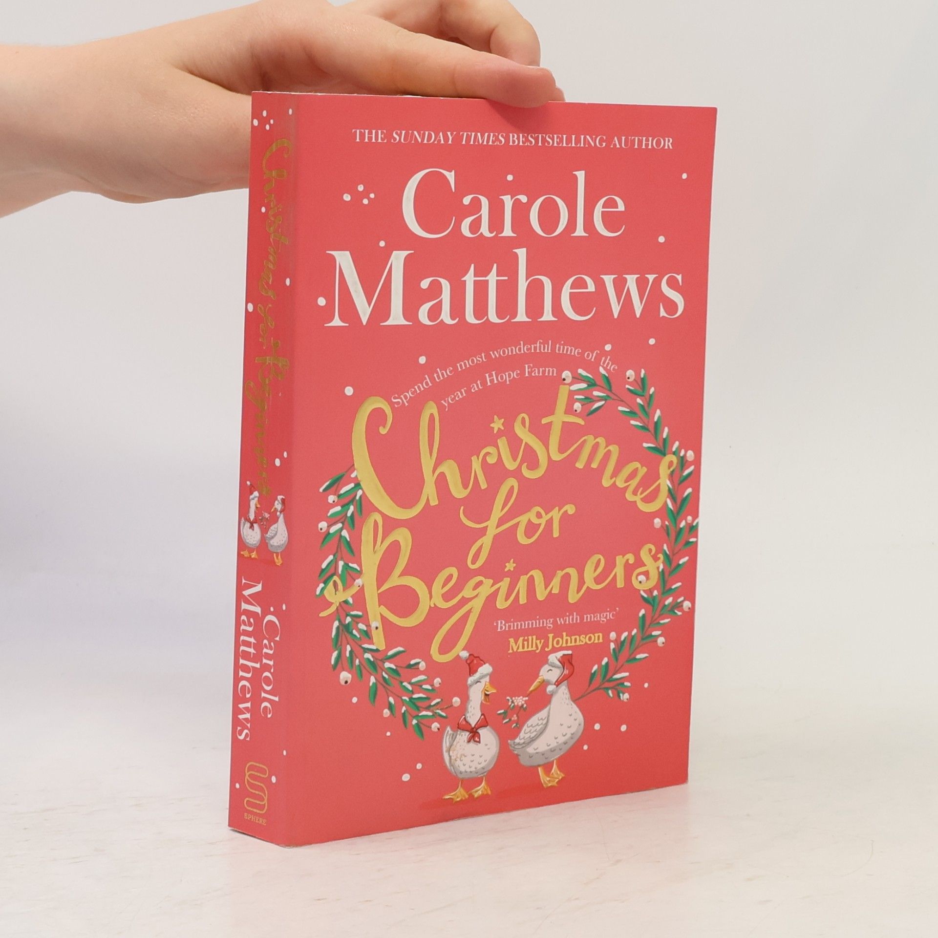 Carole Matthews Christmas for Beginners