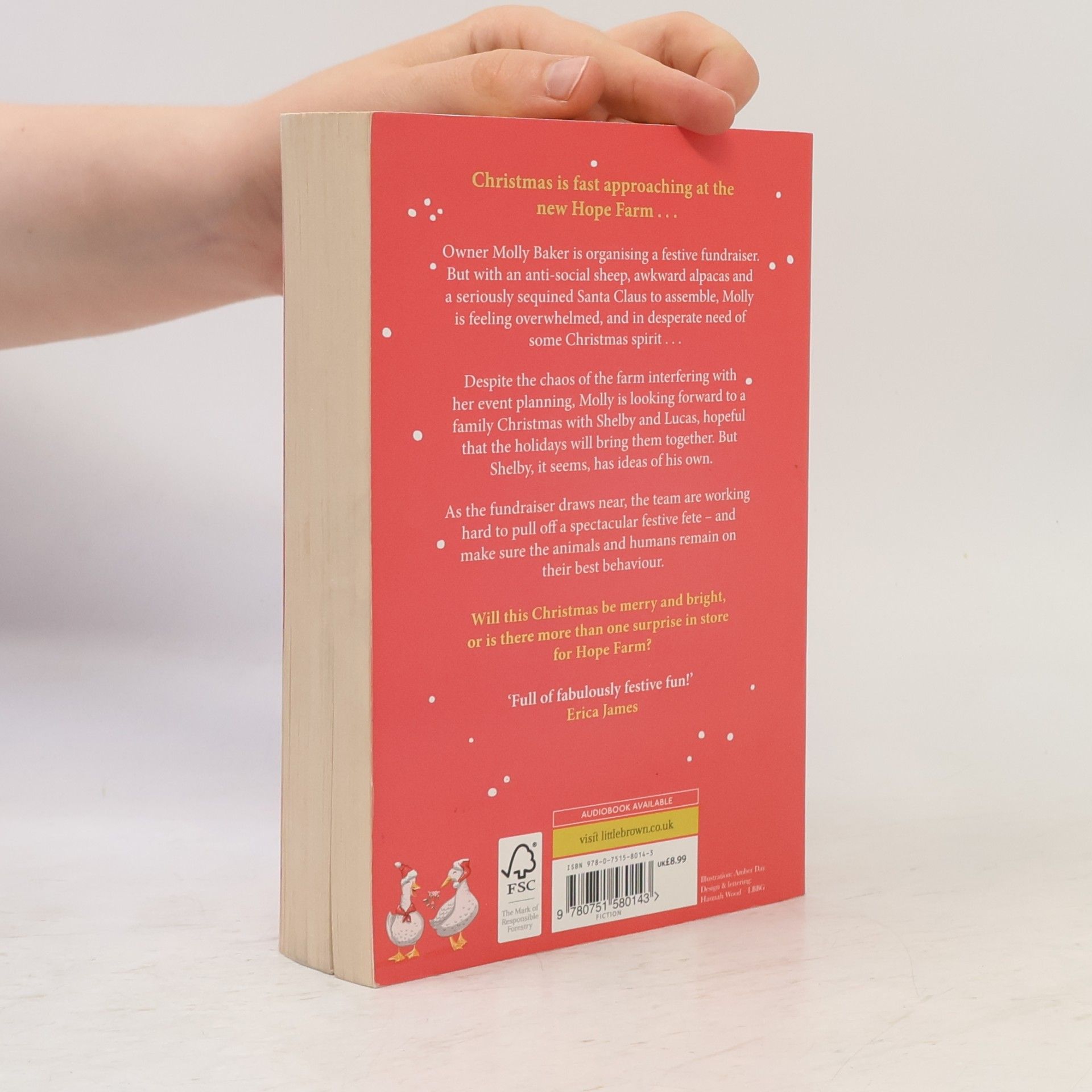 Carole Matthews Christmas for Beginners