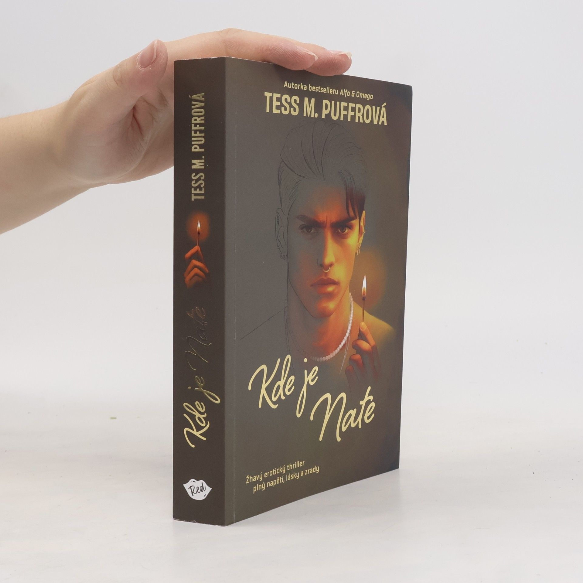 Tess M. Puffrová Kde je Nate