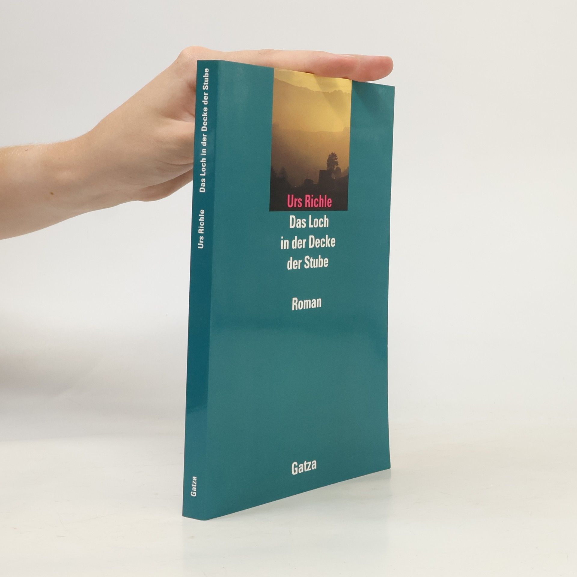 Das Loch in der Decke der Stube: Roman