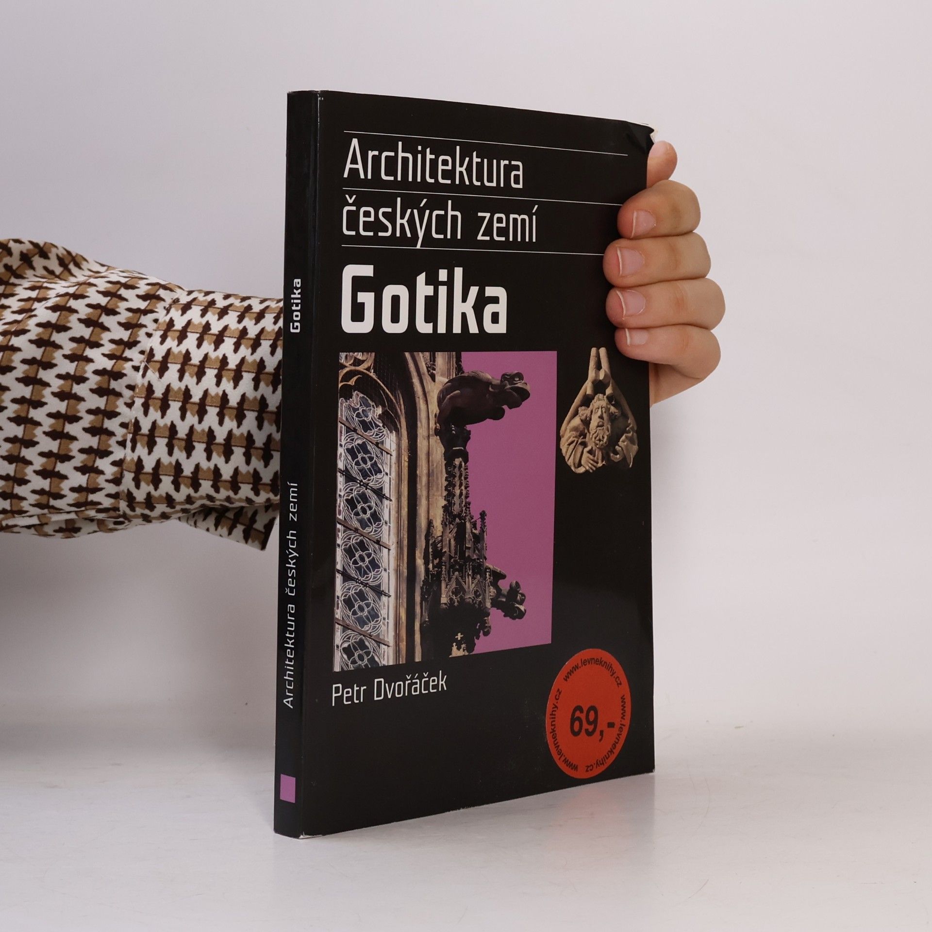 Gotika. Architektura českých zemí