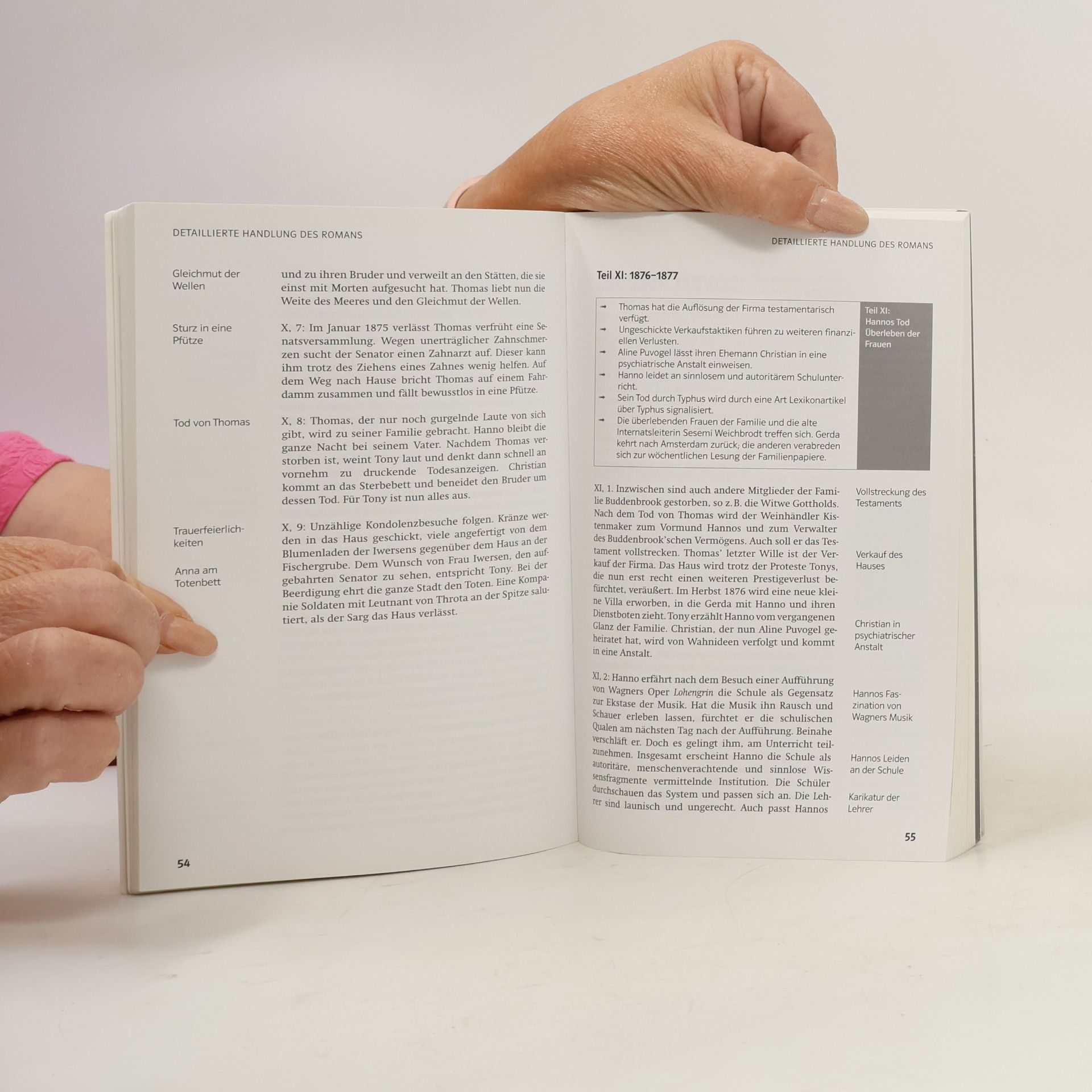 Solvejg Müller Lektürehilfen Thomas Mann, Buddenbrooks