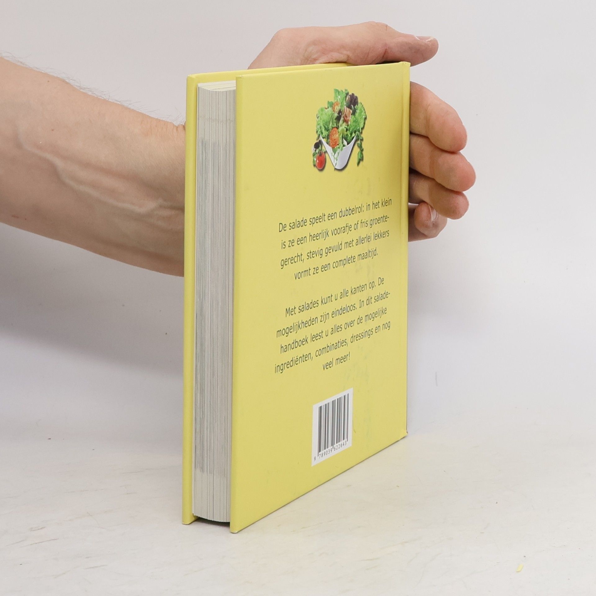 Autores varios Handboek salades