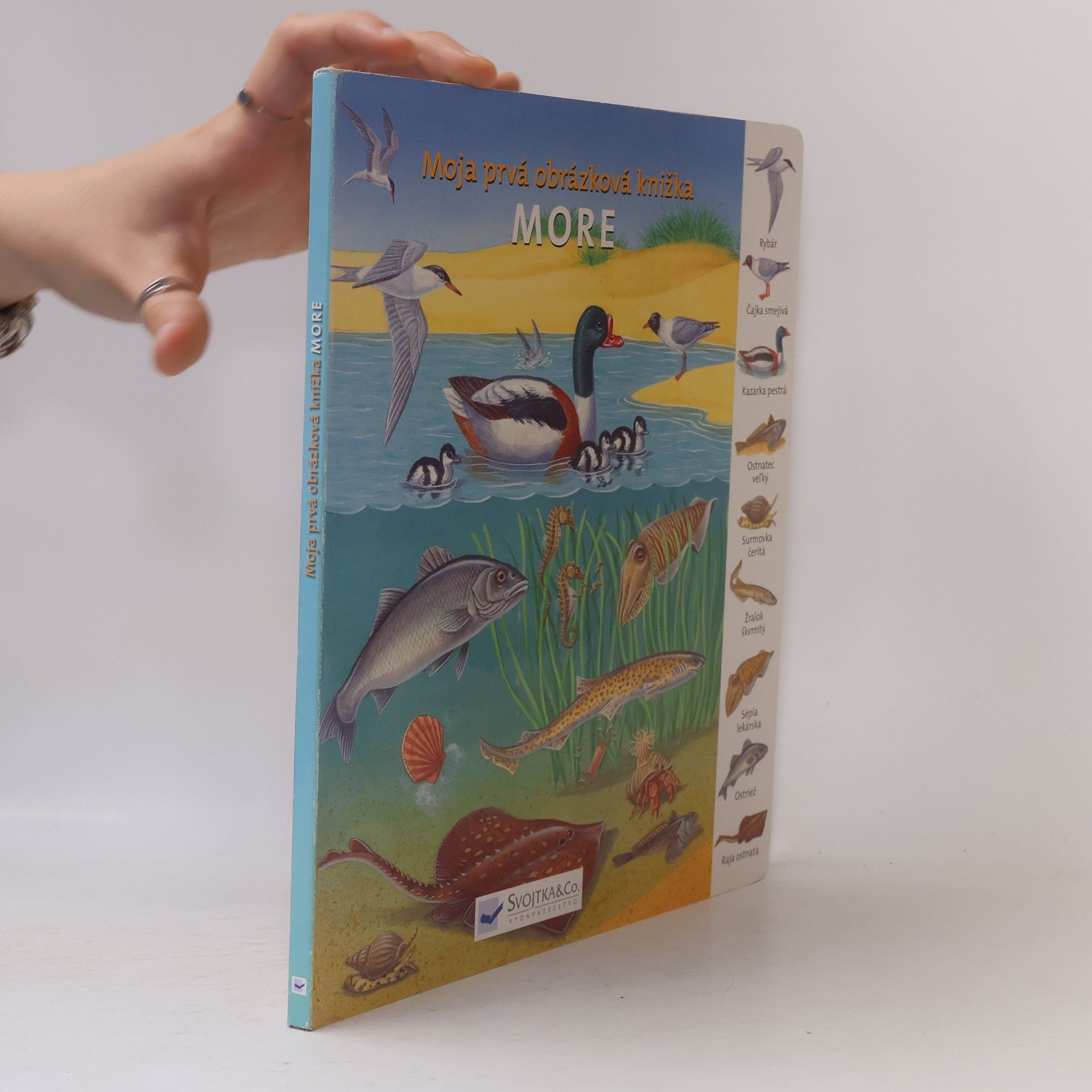 Autorenkollektiv Moja prvá obrázková knižka - More