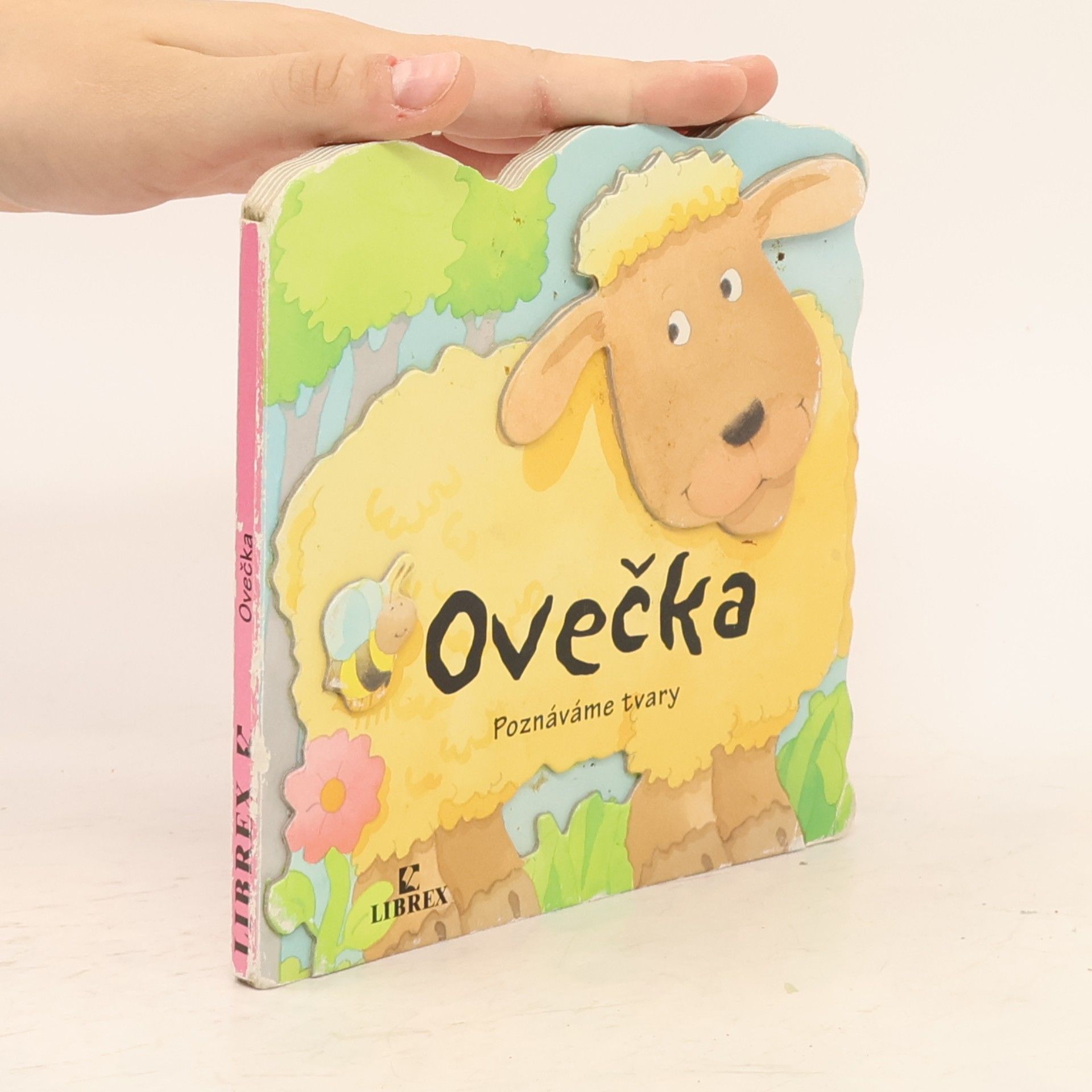 Terry T Burton Ovečka poznáváme tvary
