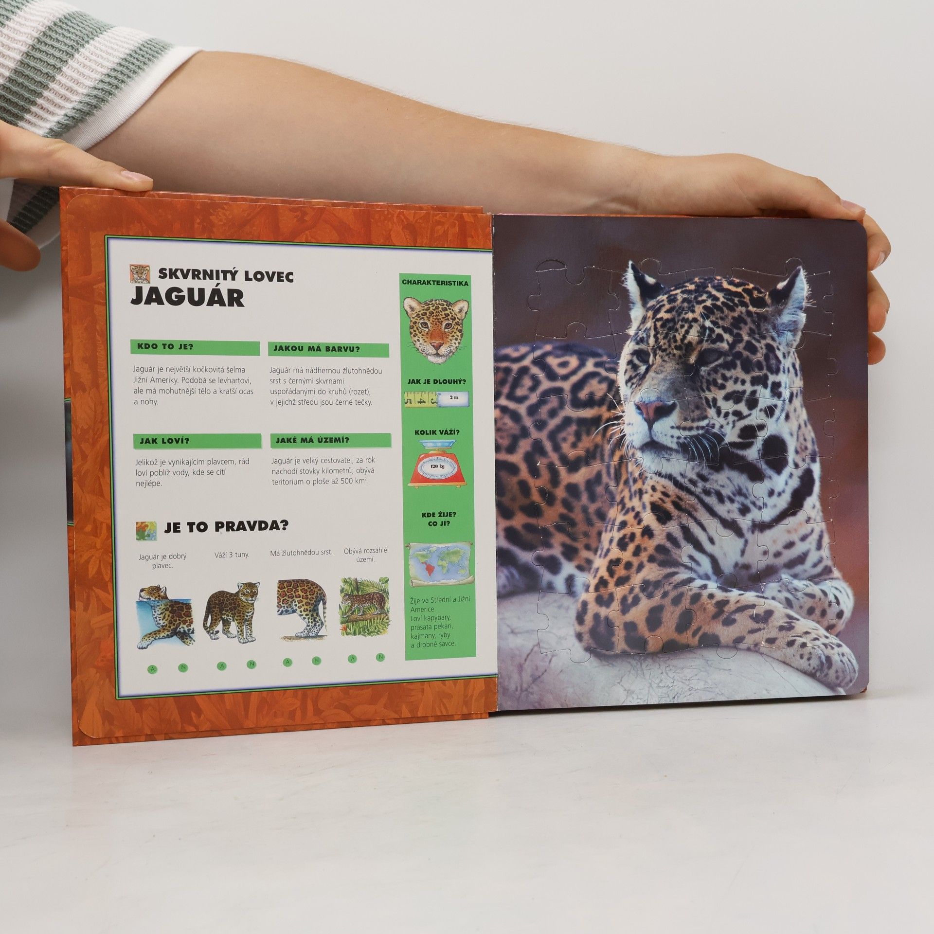 Tomáš Kapic Zvířátka v pralese : 6 puzzle