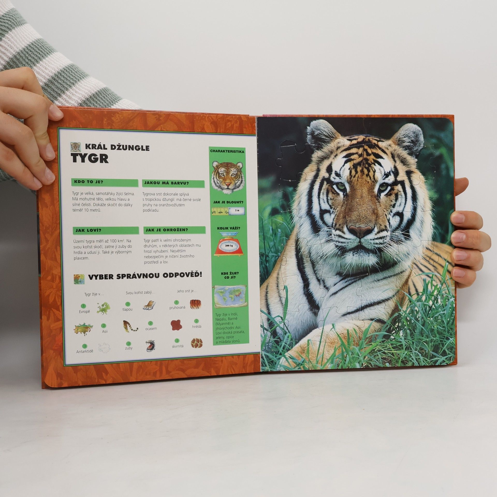 Tomáš Kapic Zvířátka v pralese : 6 puzzle